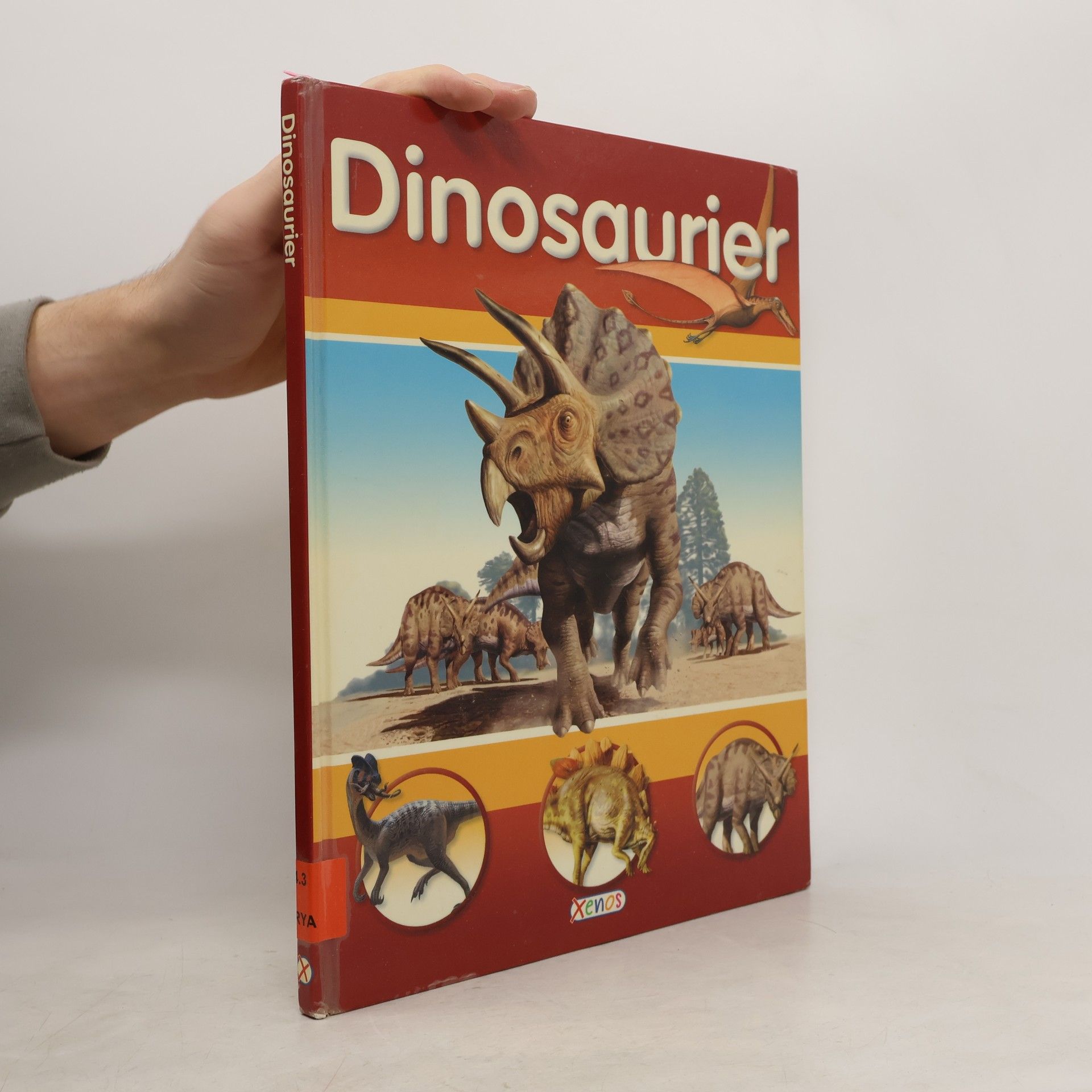 Denise Ryan Dinosaurier