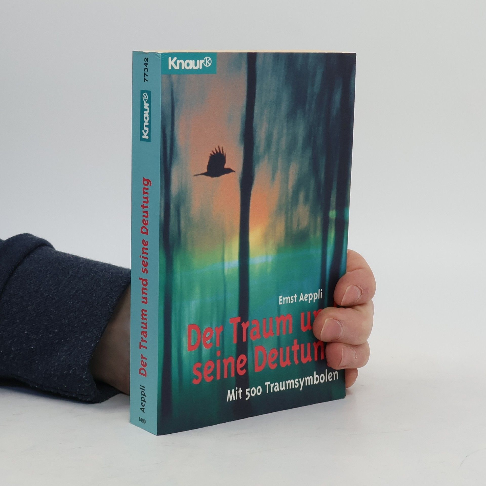 Der Traum und seine Deutung. Mit 500 Traumsymbolen