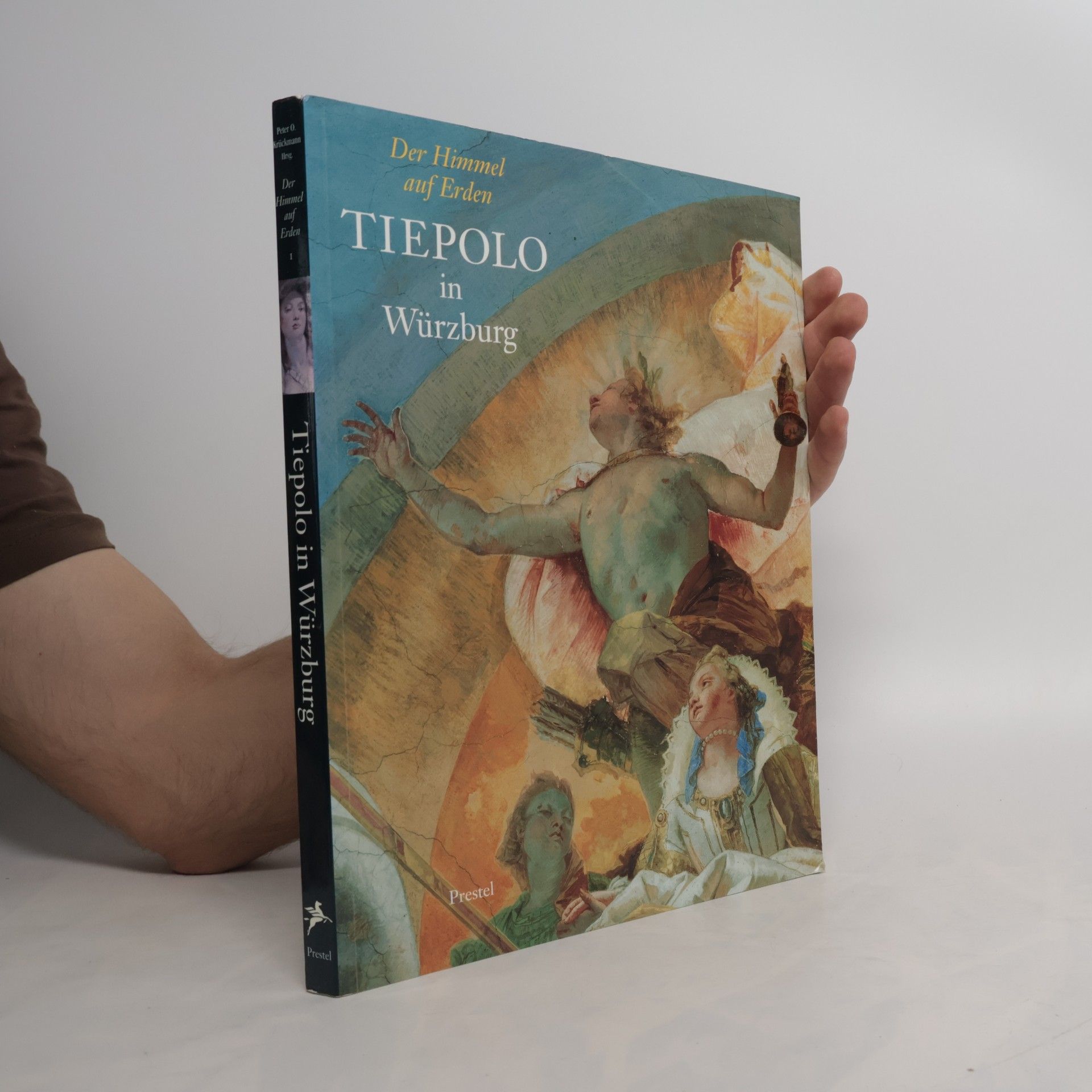 Werner Helmberger Tiepolo in Würzburg