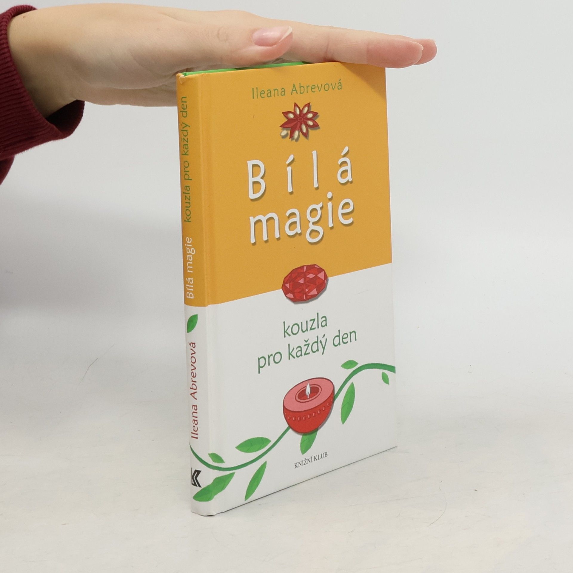 Bílá magie : kouzla pro každý den