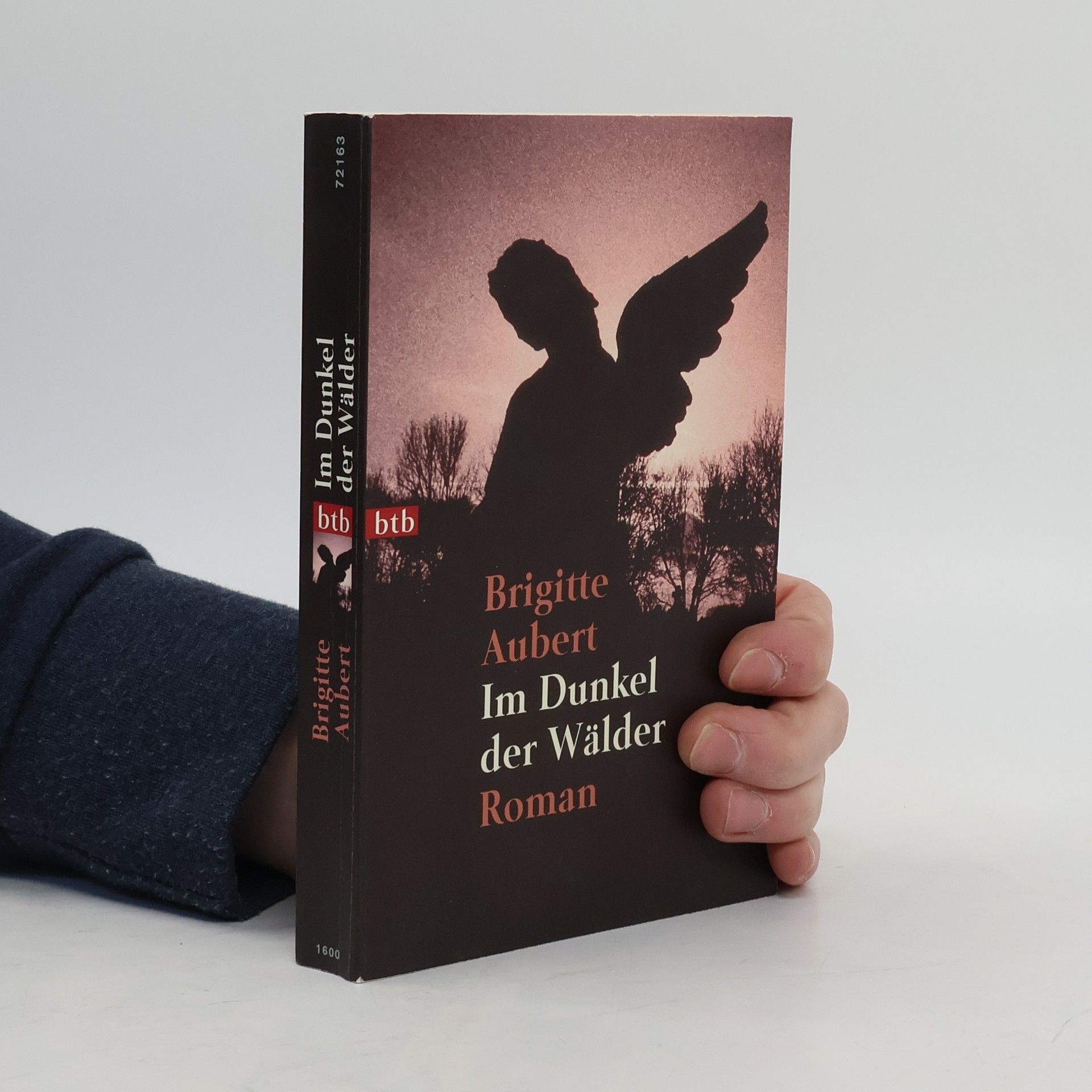 Brigitte Aubert Im Dunkel der Wald