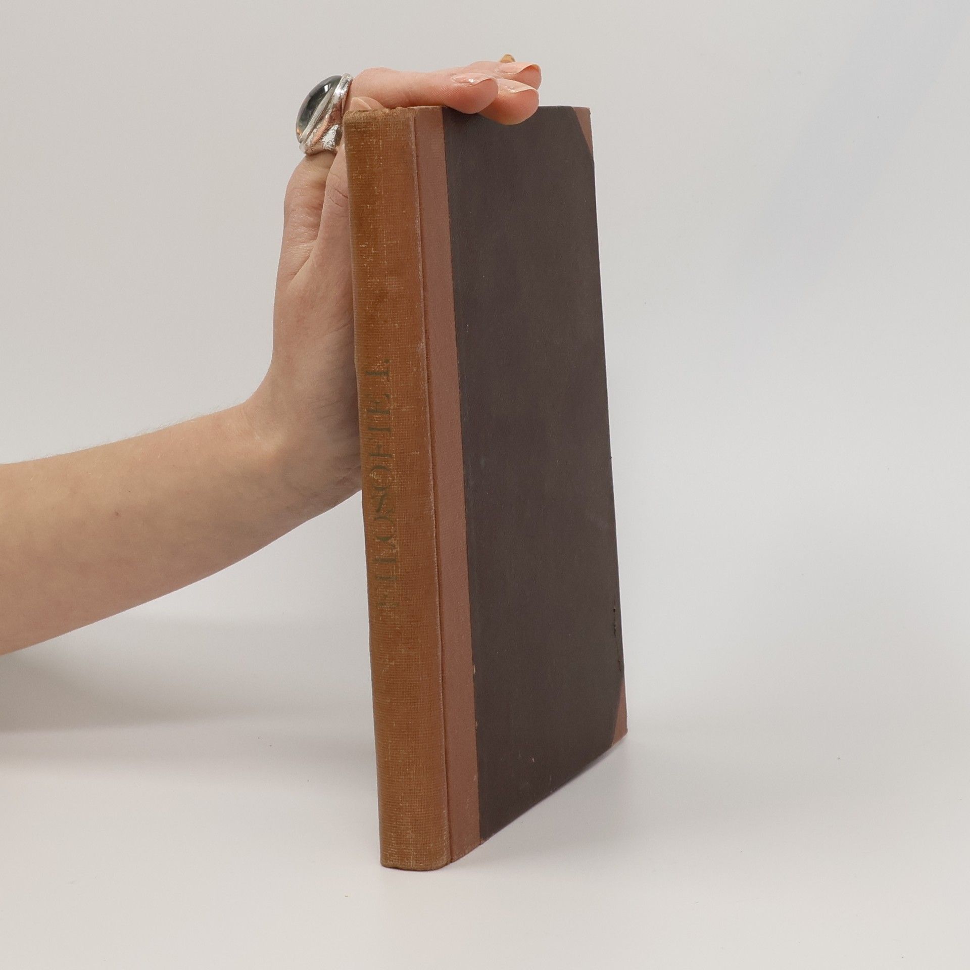 Josef Kratochvíl Meditace věků I.