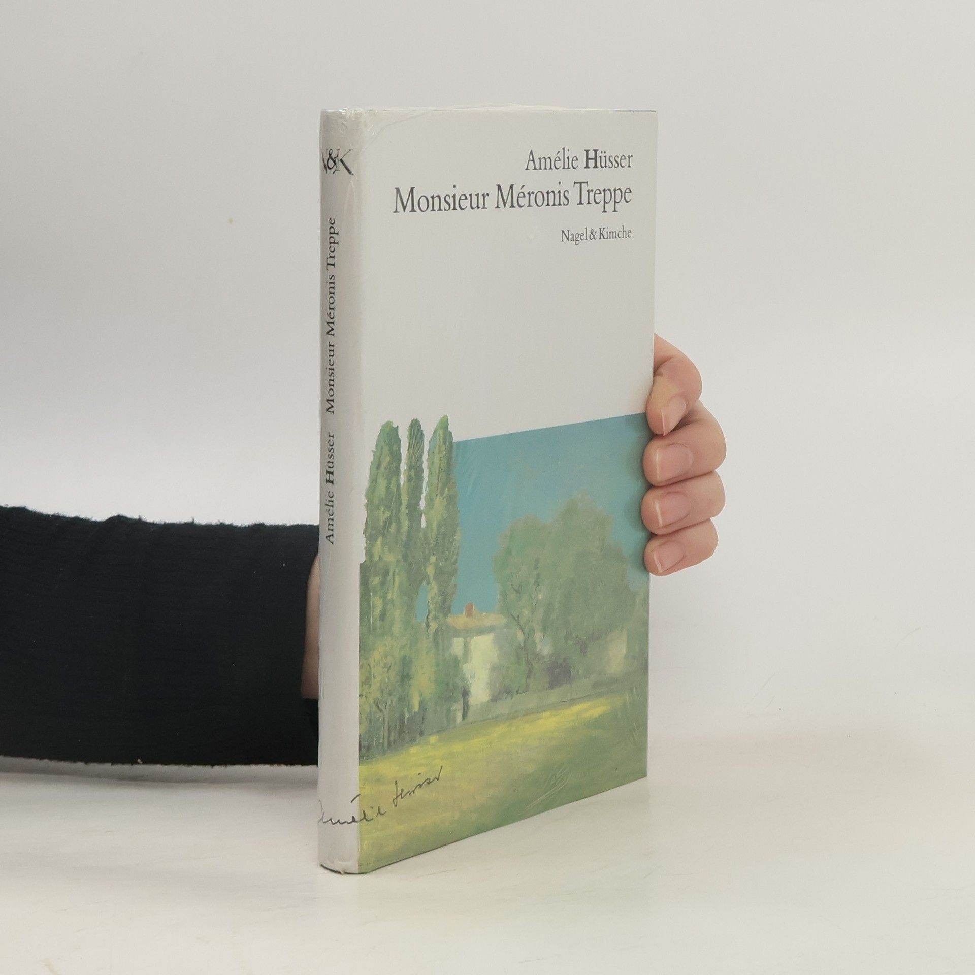 Amélie Hüsser Monsieur Méronis Treppe