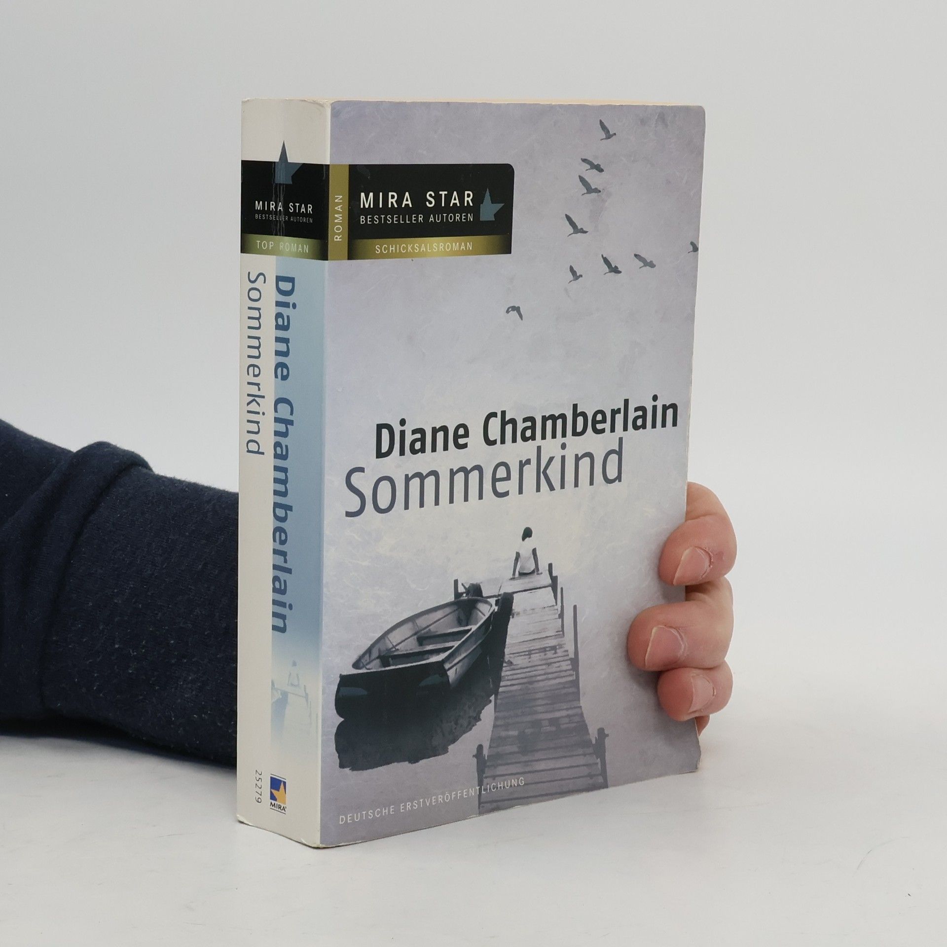 Diane Chamberlain Sommerkind