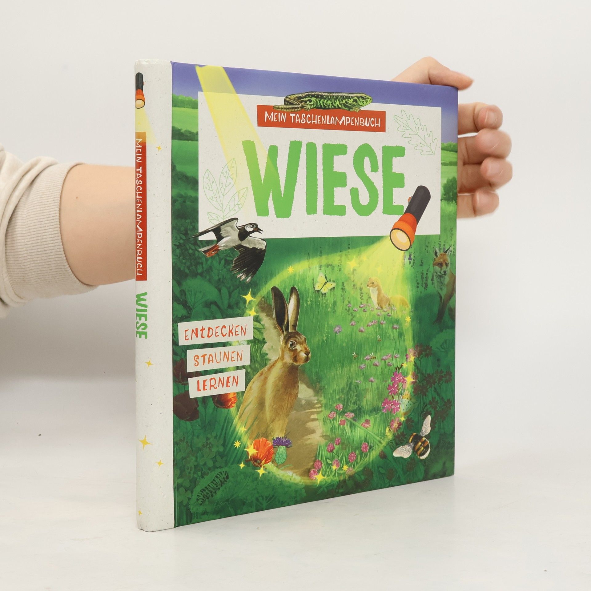 Kolektív autorov Mein Taschenlampenbuch Wiese