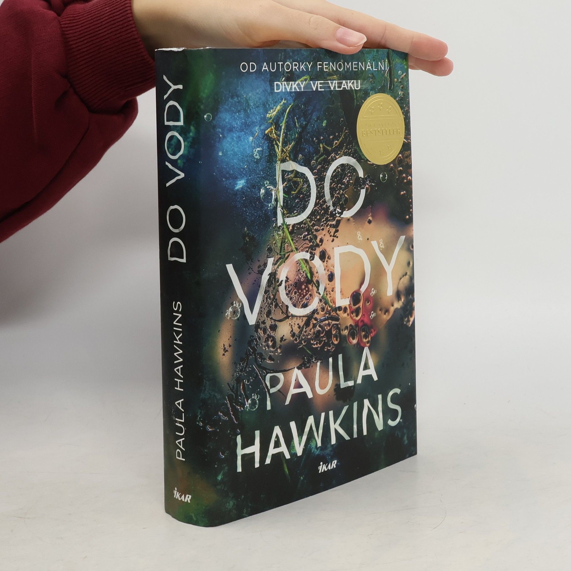 Paula Hawkins Do vody