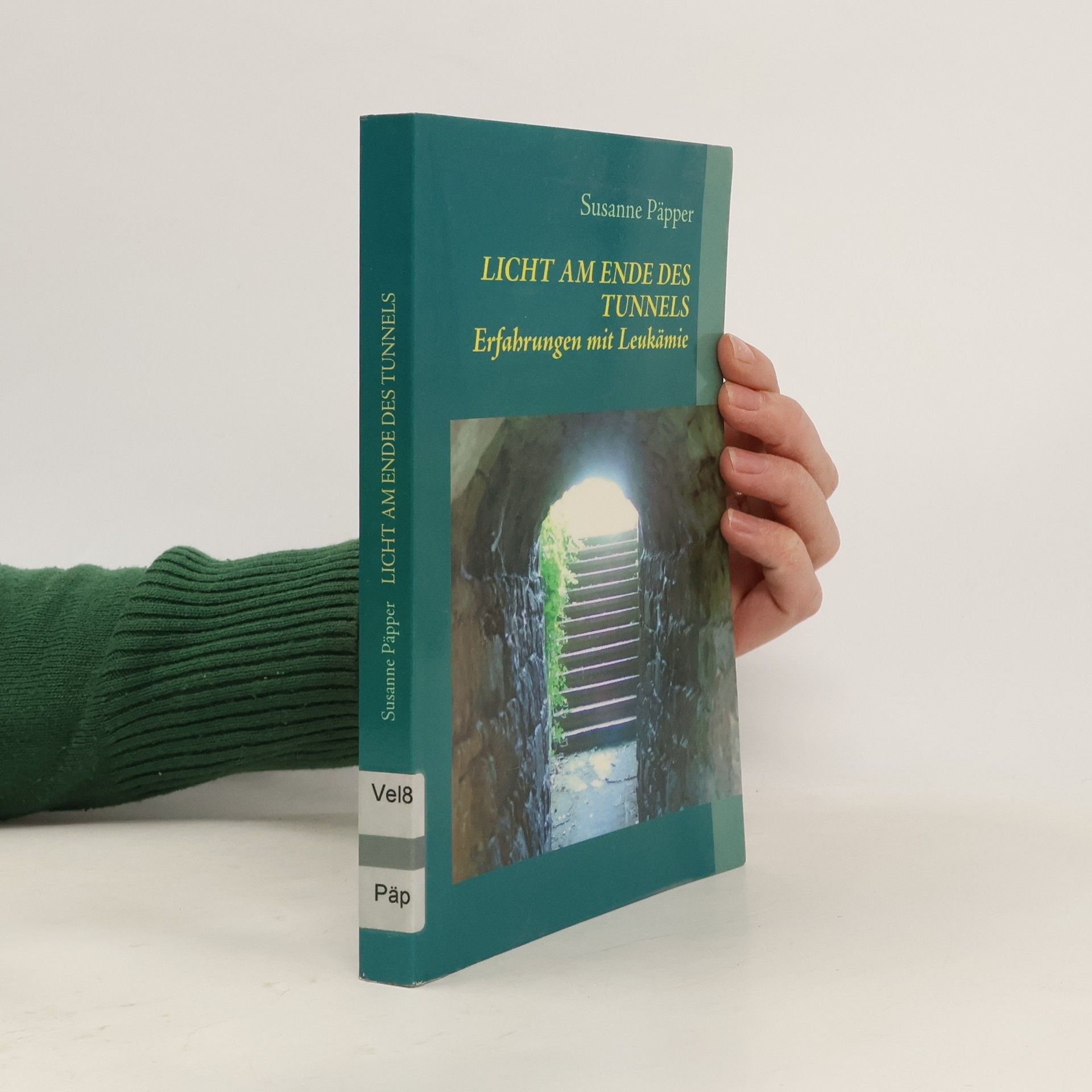 Susanne Päpper Licht am Ende des Tunnels
