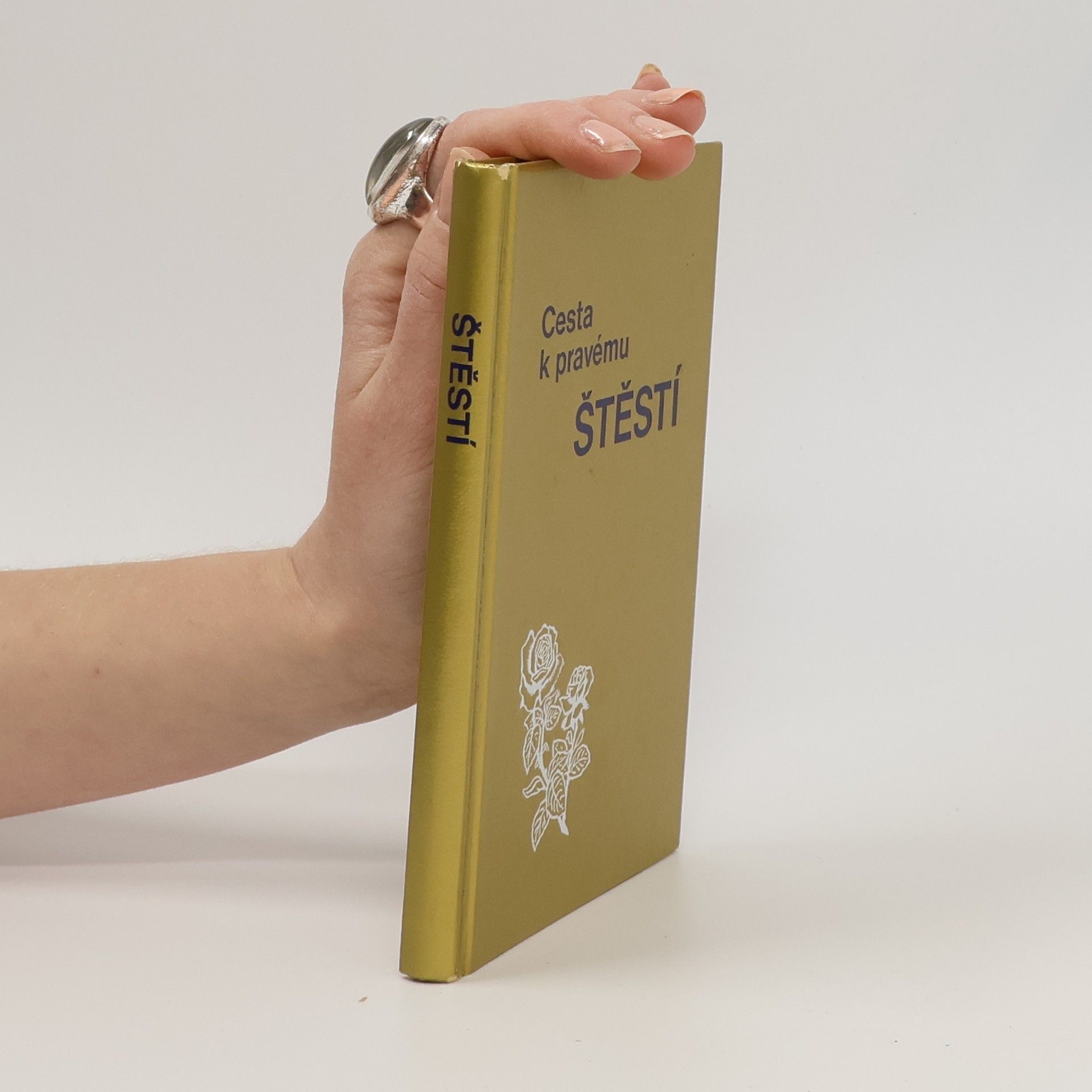 AA.VV. Cesta k pravému štěstí