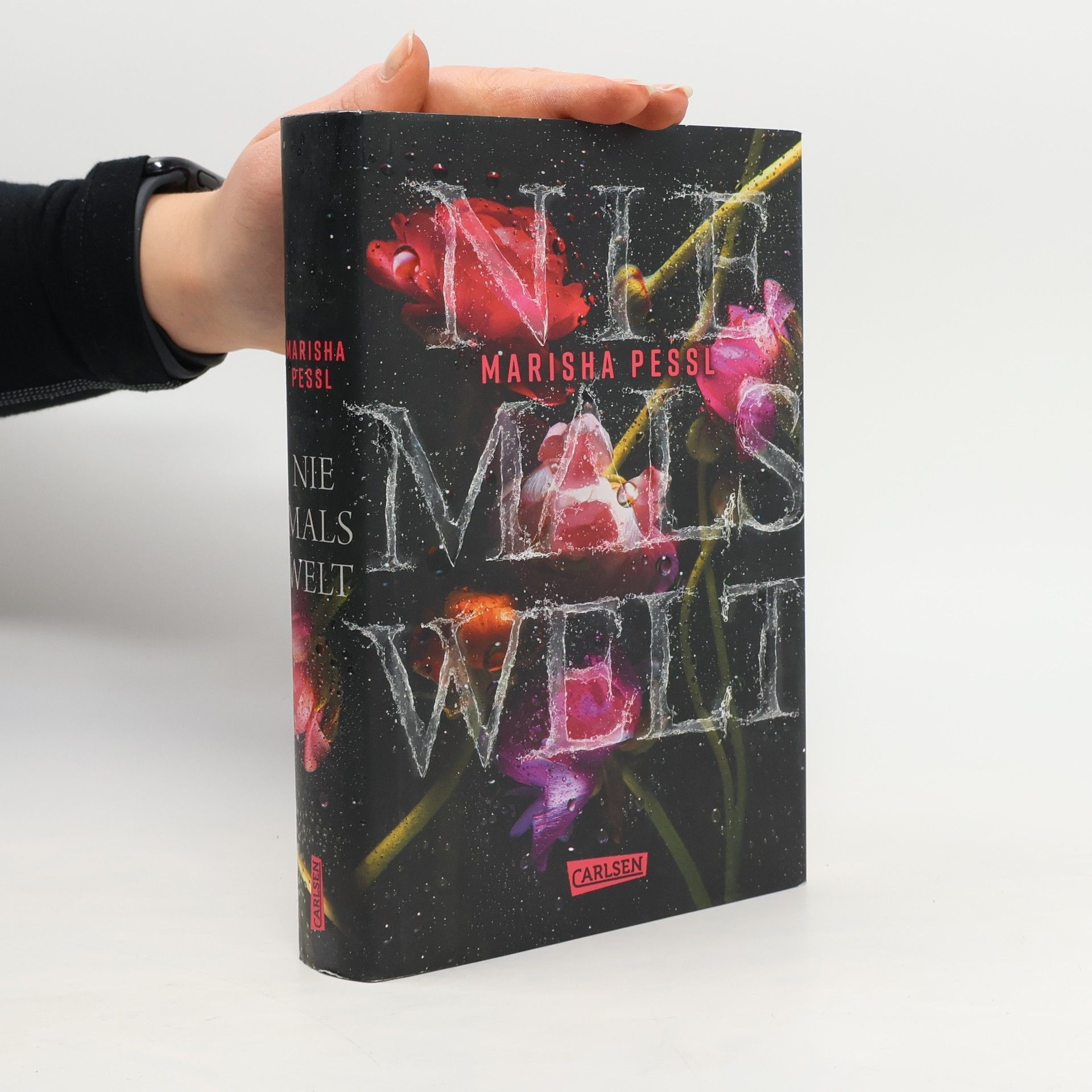 Marisha Pessl Niemalswelt