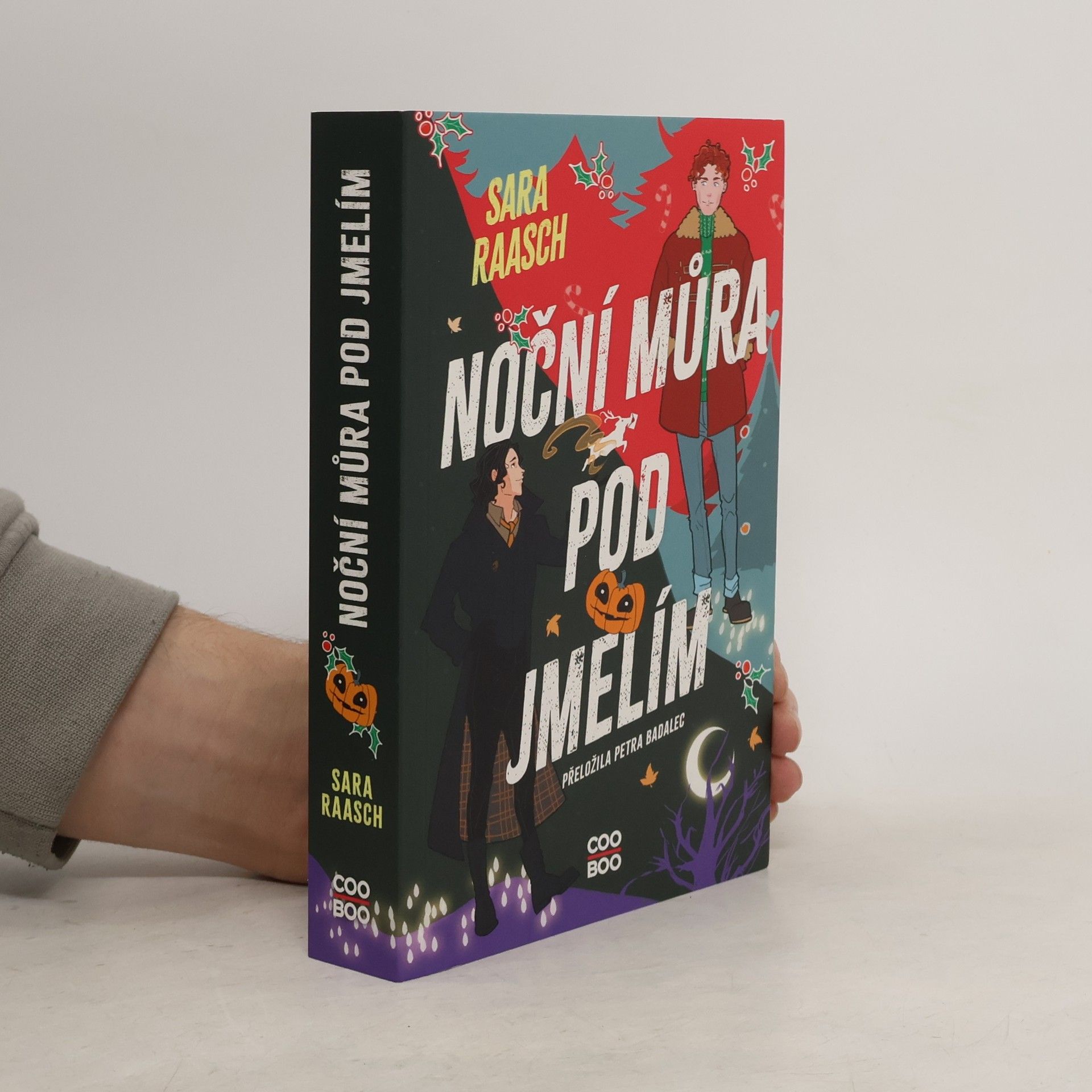 Sara Raash Noční můra pod jmelím