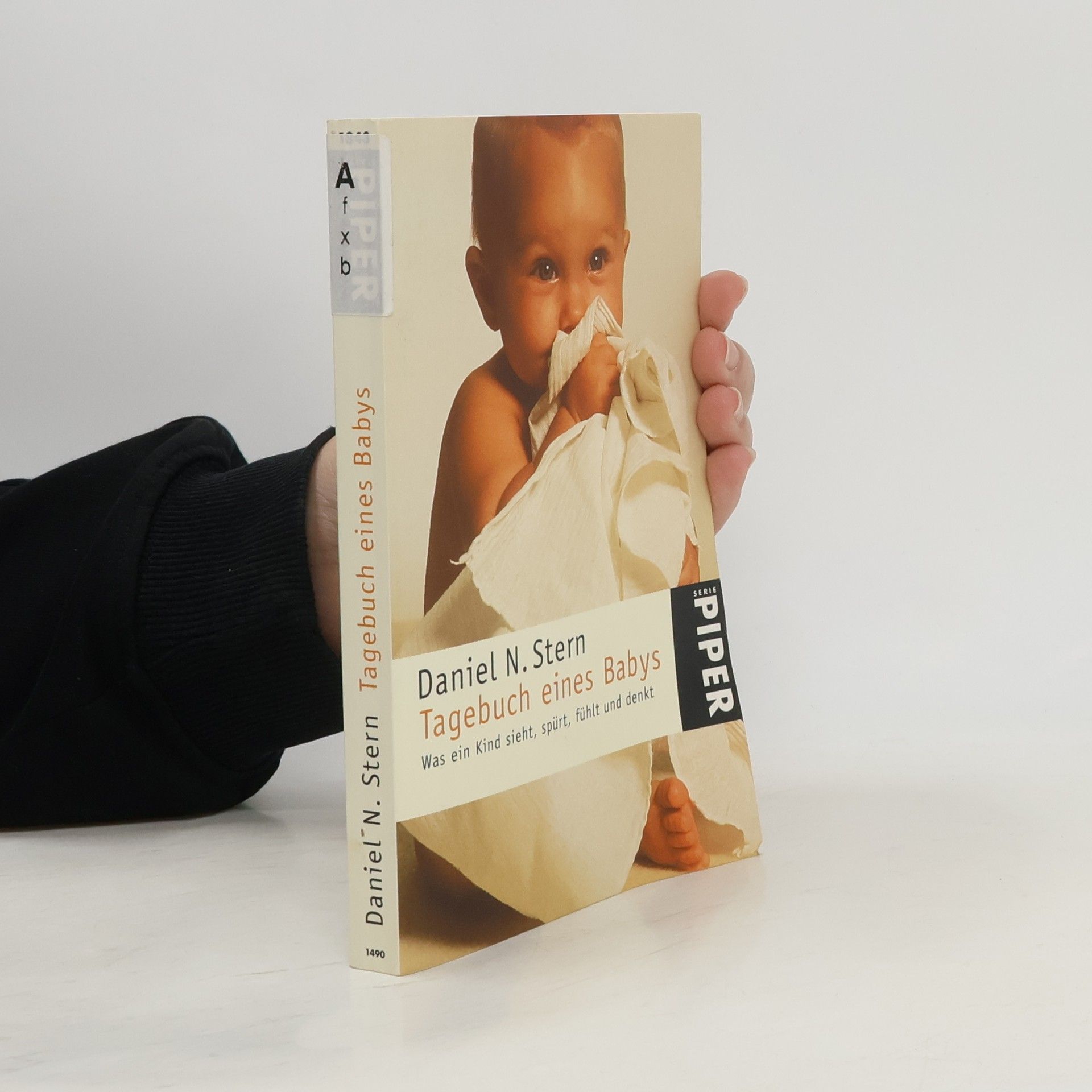 Daniel Stern Tagebuch eines Babys