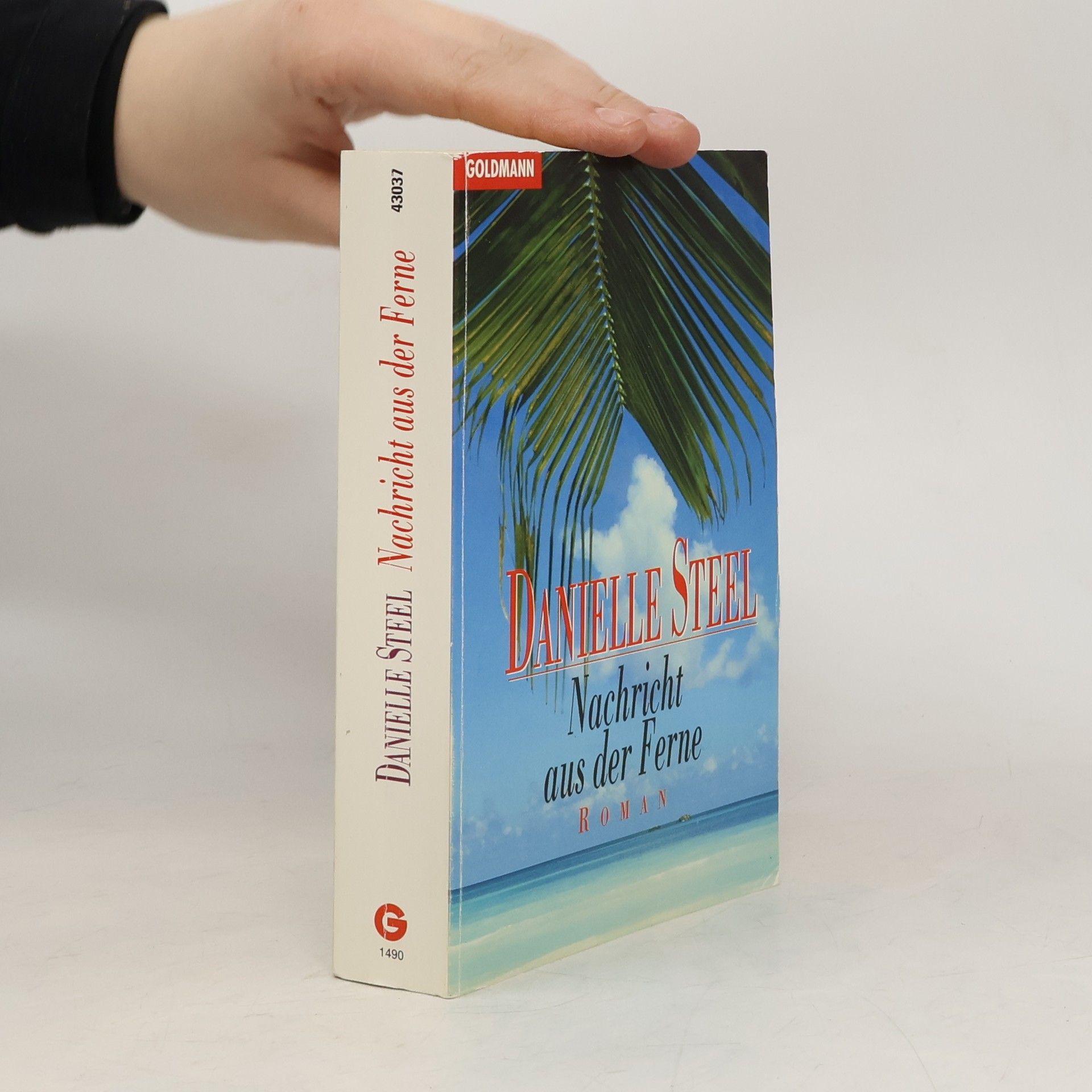 Danielle Steel Nachricht aus der Ferne