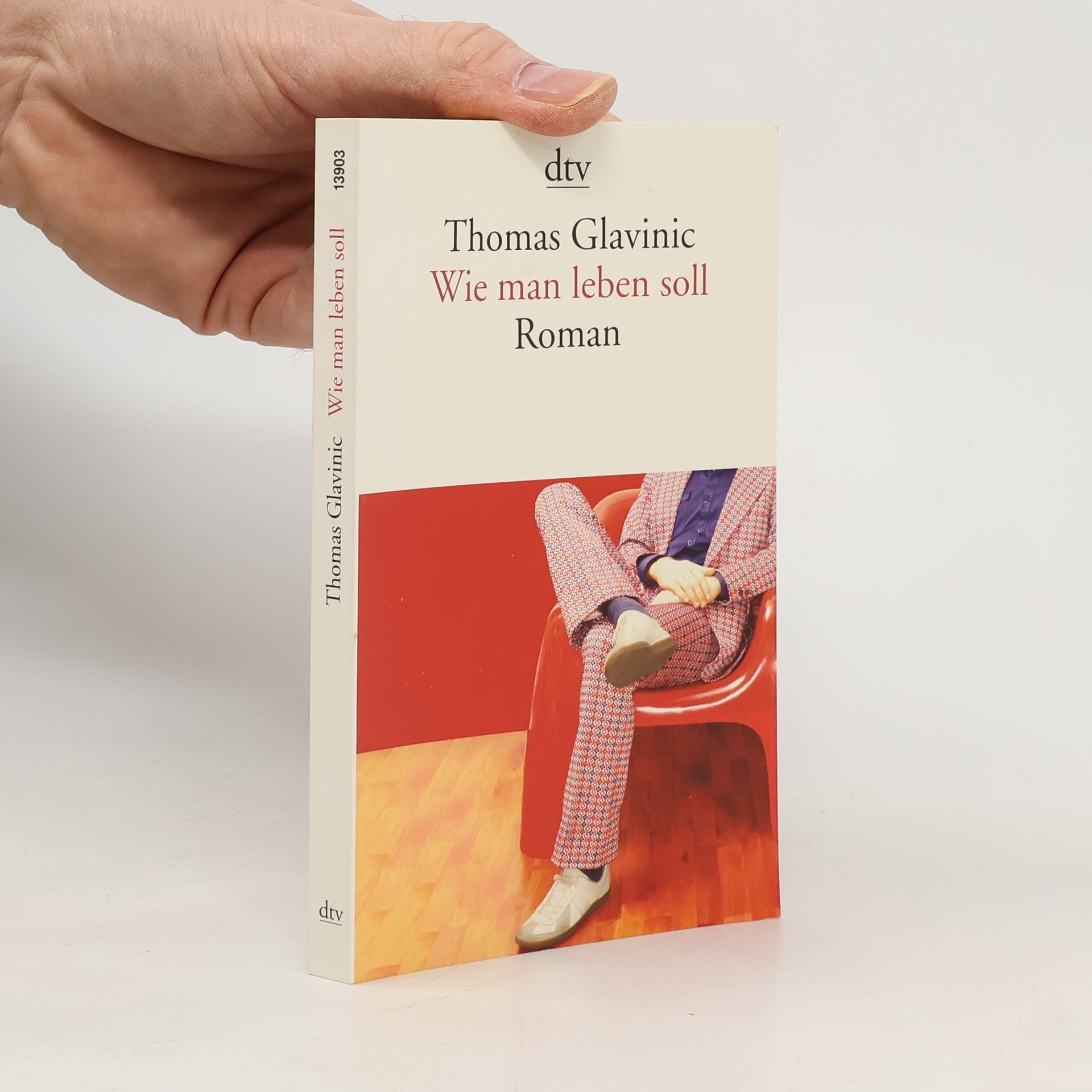 Thomas Glavinic Wie Man leben Soll