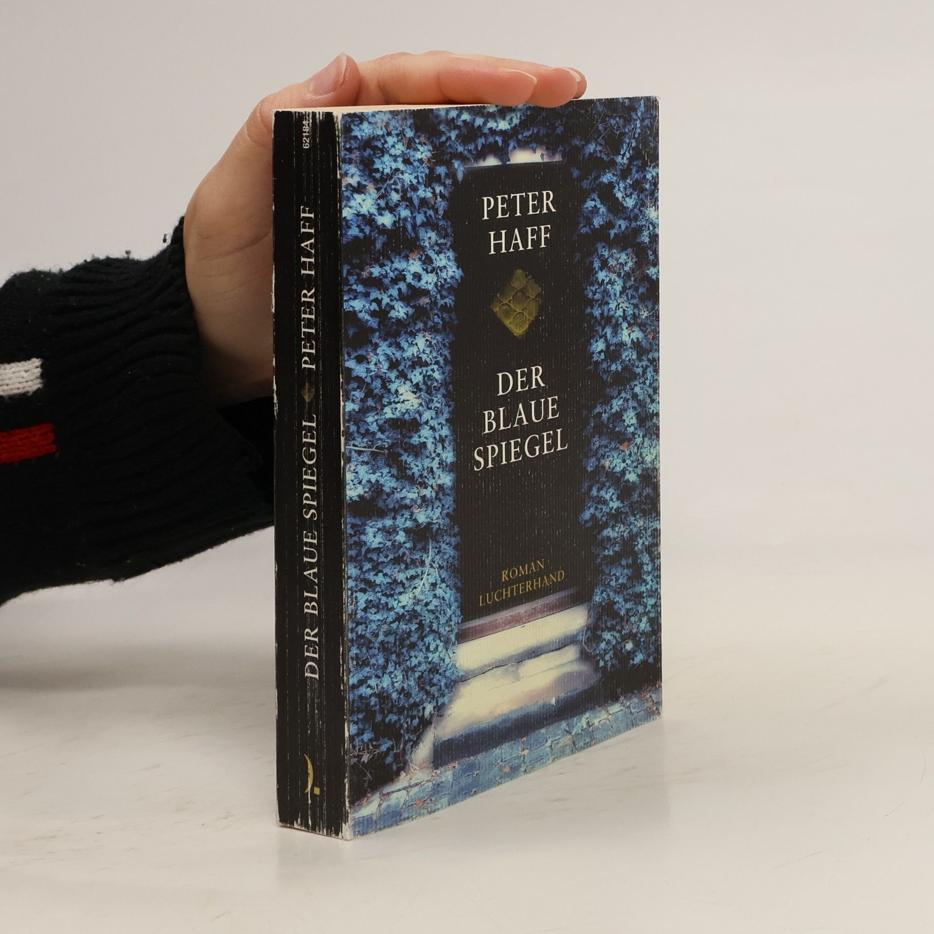 Der blaue Spiegel. Roman