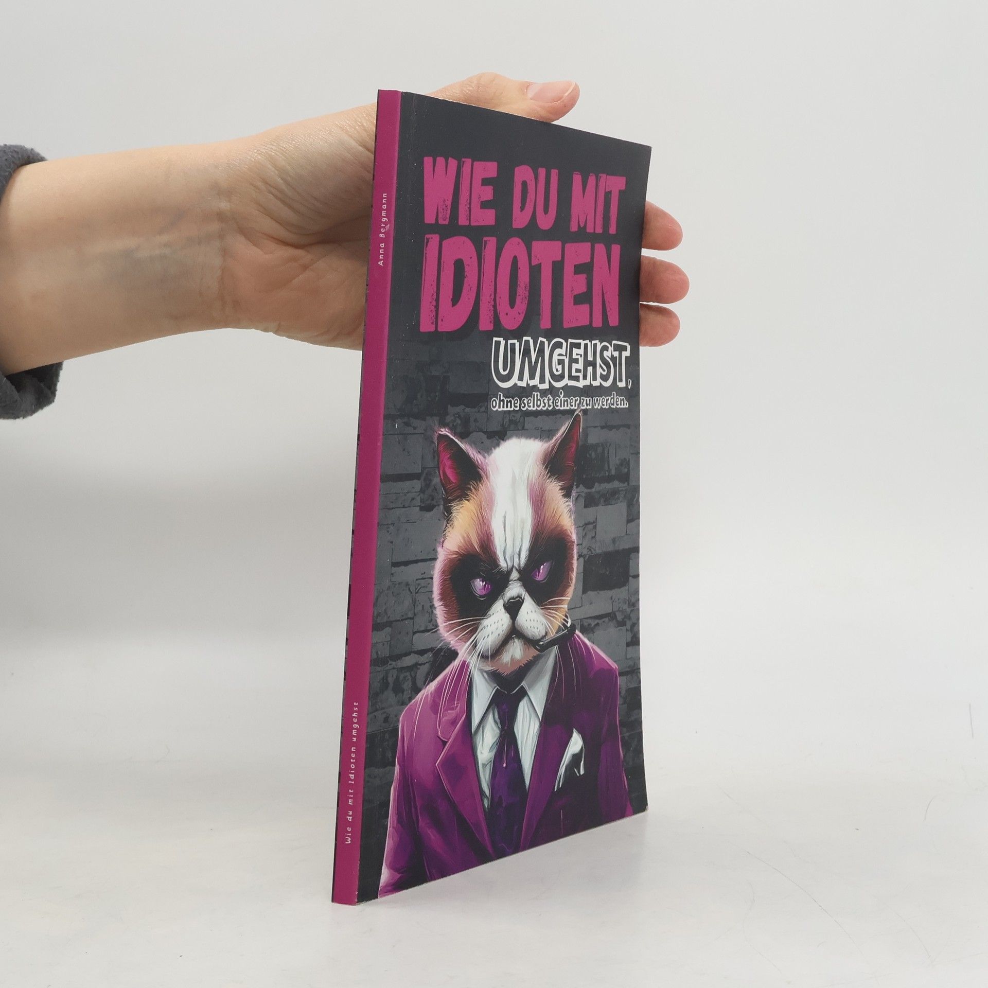 Anna Bergmann Wie du mit Idioten umgehst