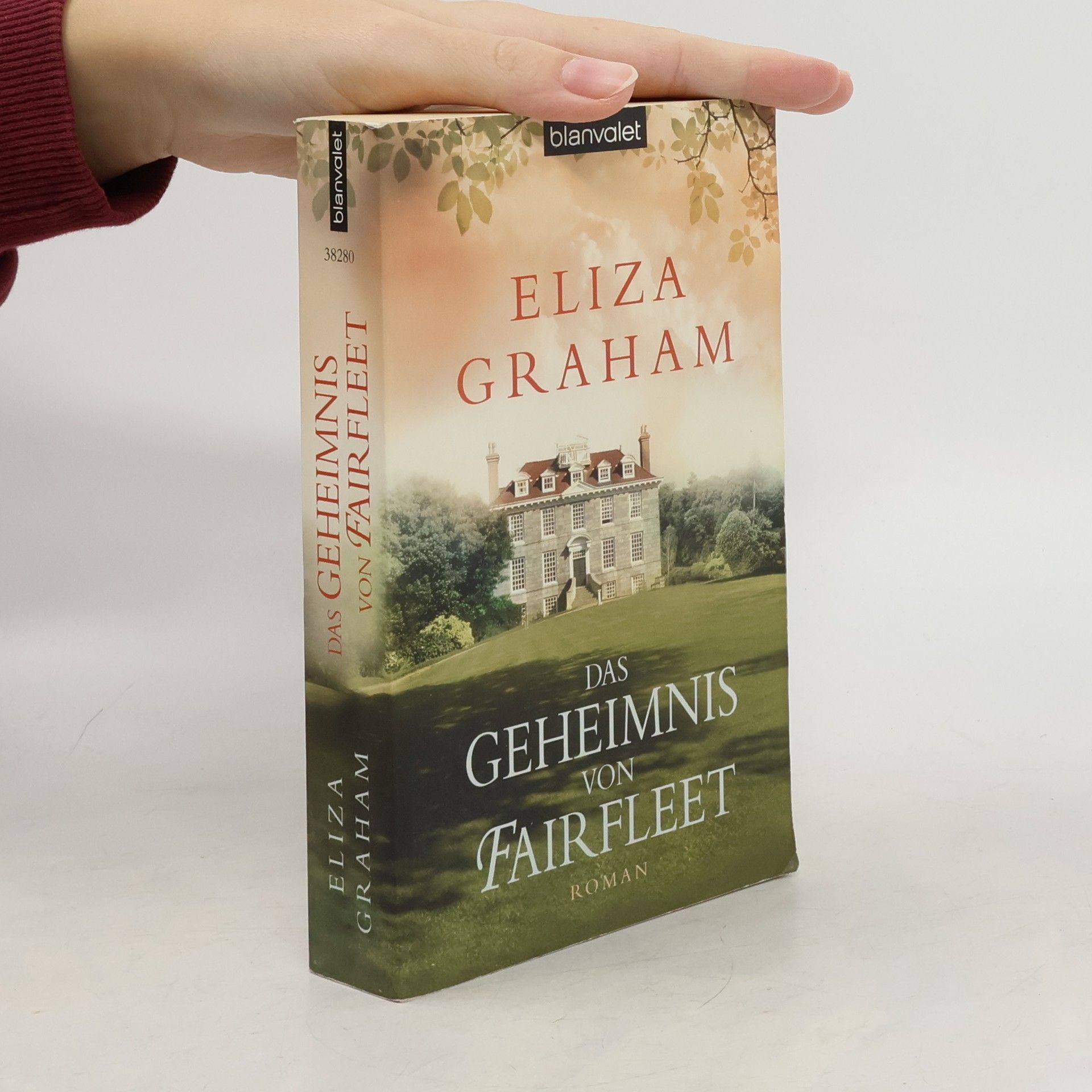 Das Geheimnis von Fairfleet