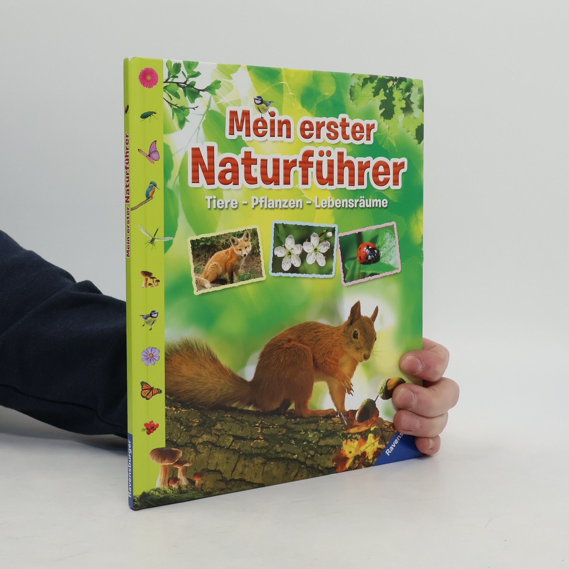 Angelika Lenz Mein erster Naturführer