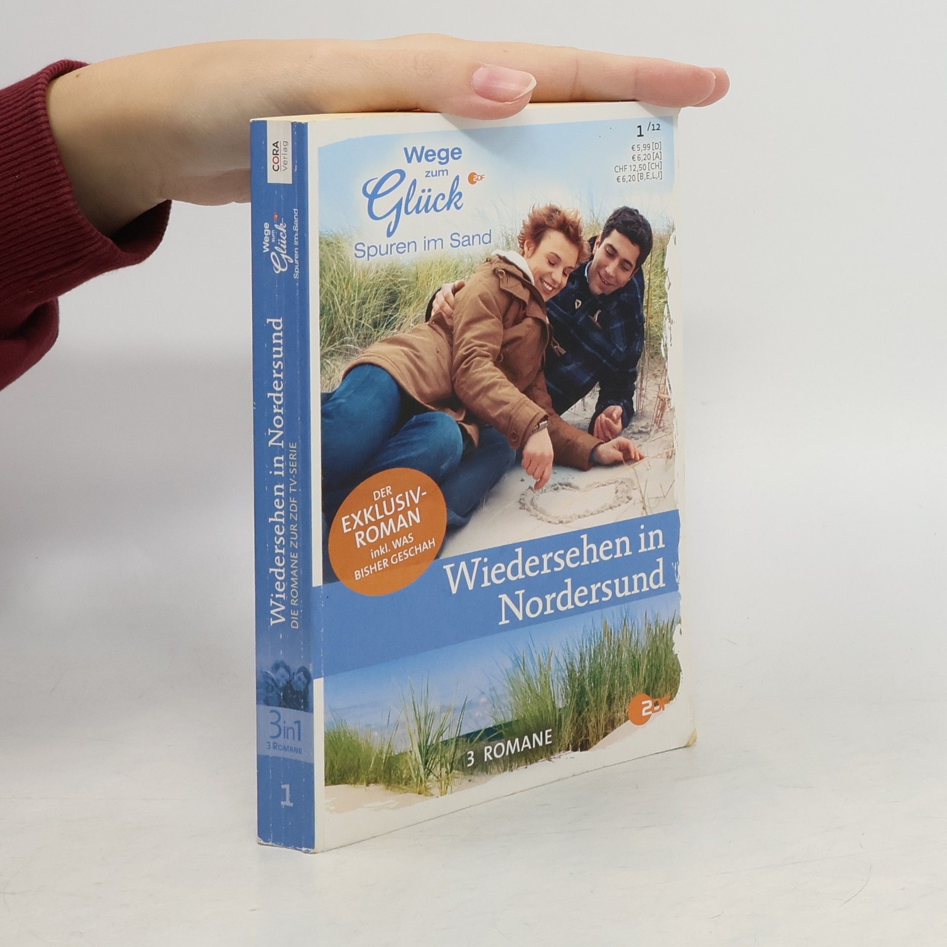 Kolektív autorov Wiedersehen in Nordersund