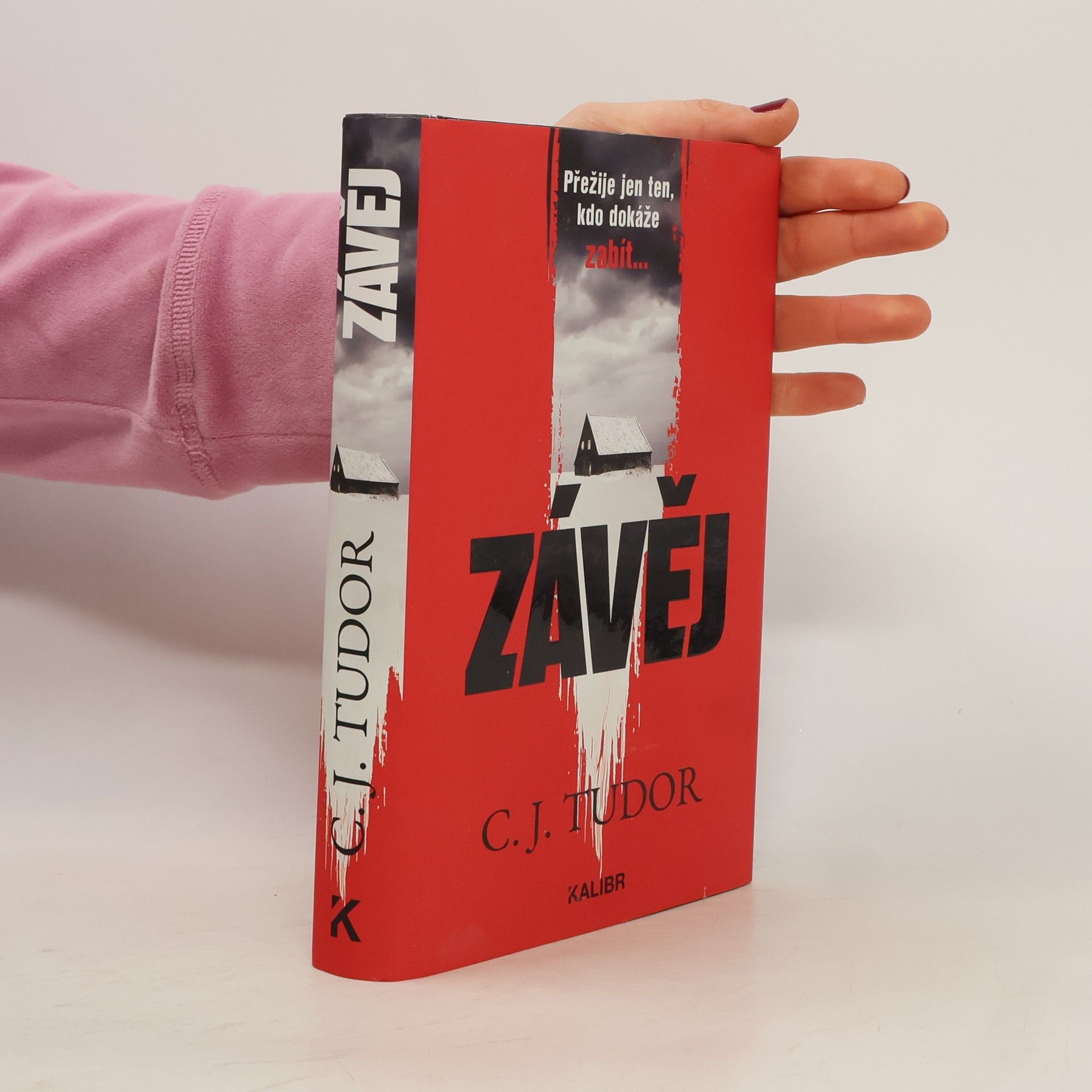 Jana Kunová Závěj