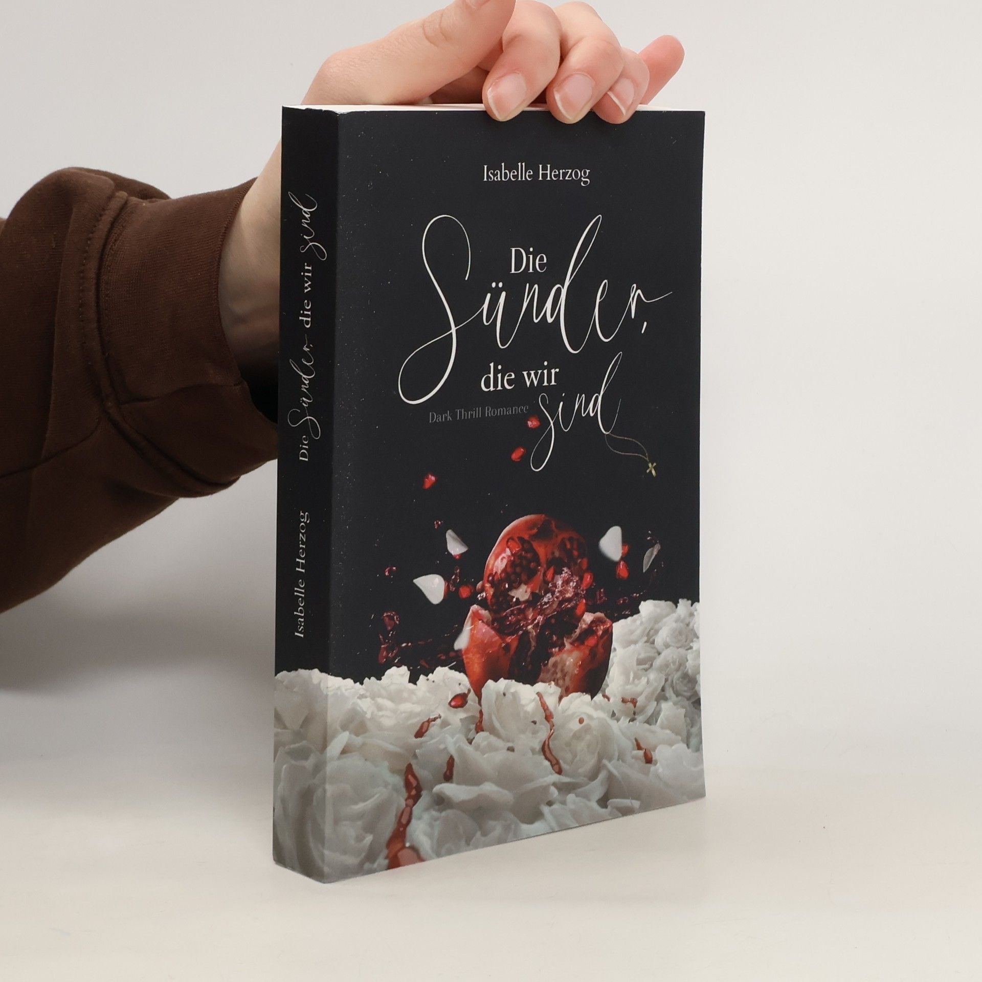 Isabelle Herzog Die Sünder, die wir sind