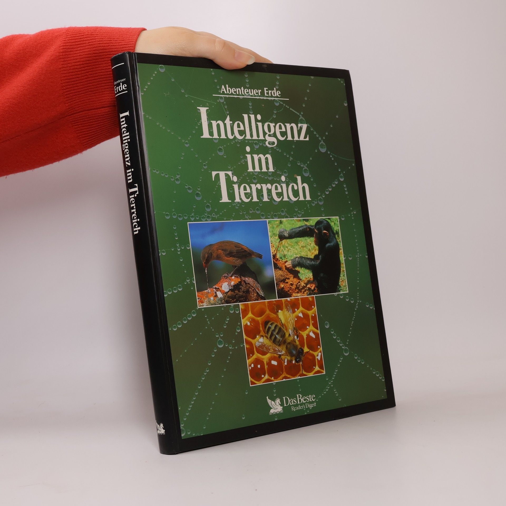 Kolektív autorov Intelligenz im Tierreich