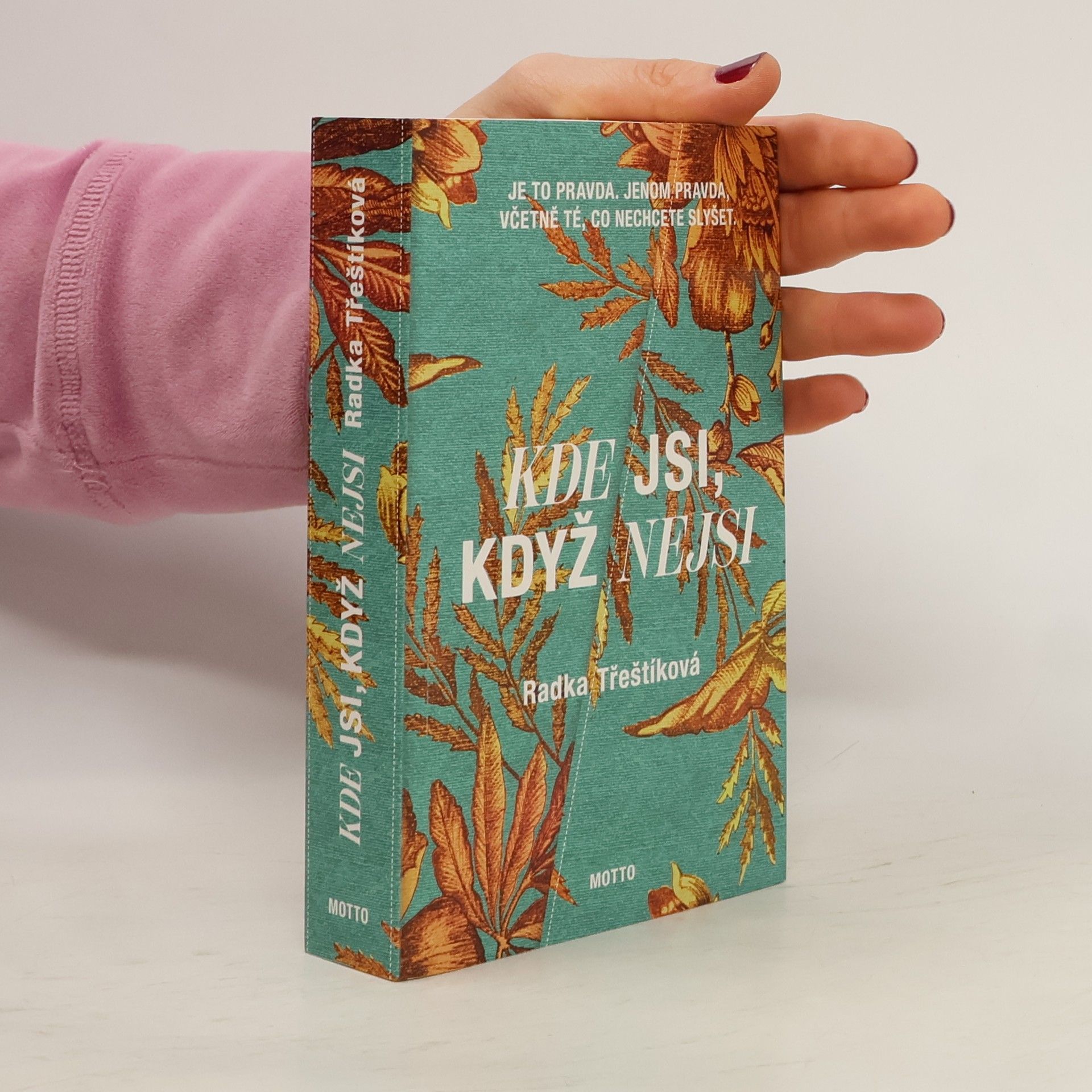 Radka Třeštíková Kde jsi, když nejsi