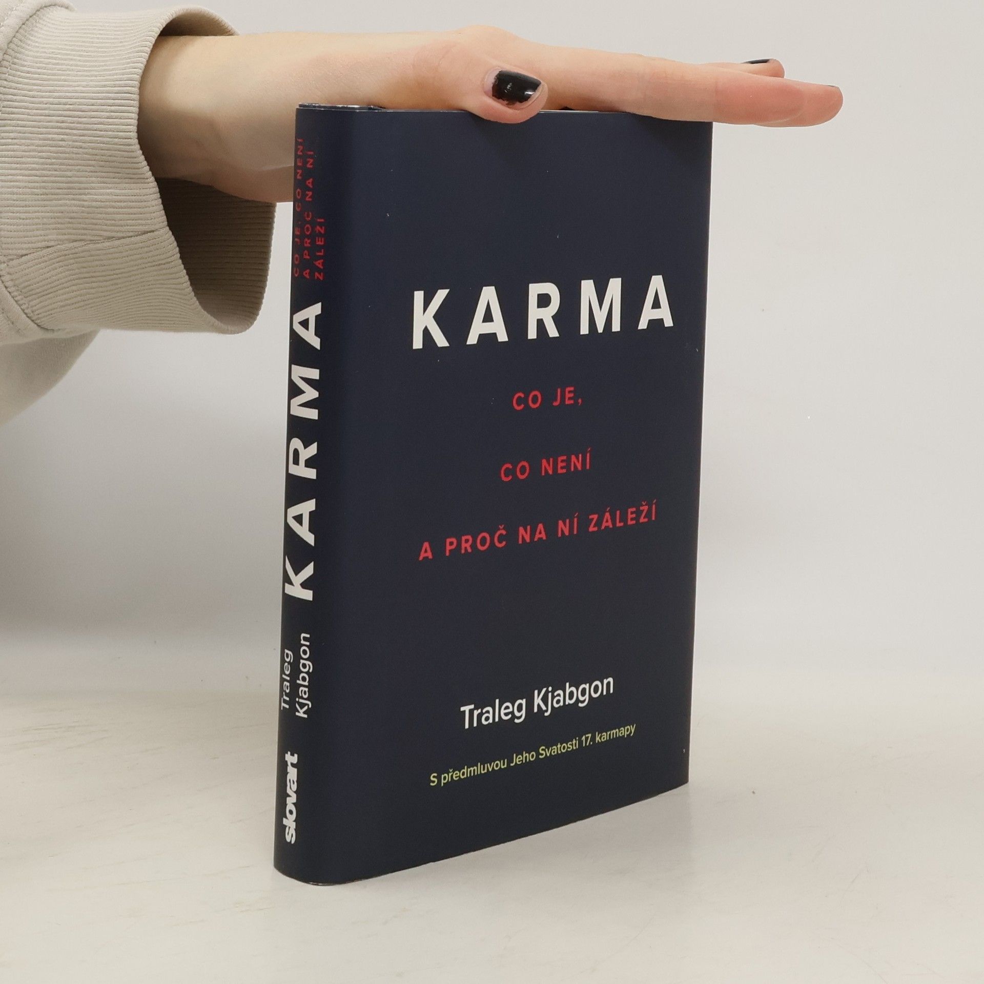 Traleg Kjabgon Karma: Co je, co není a proč na ní záleží