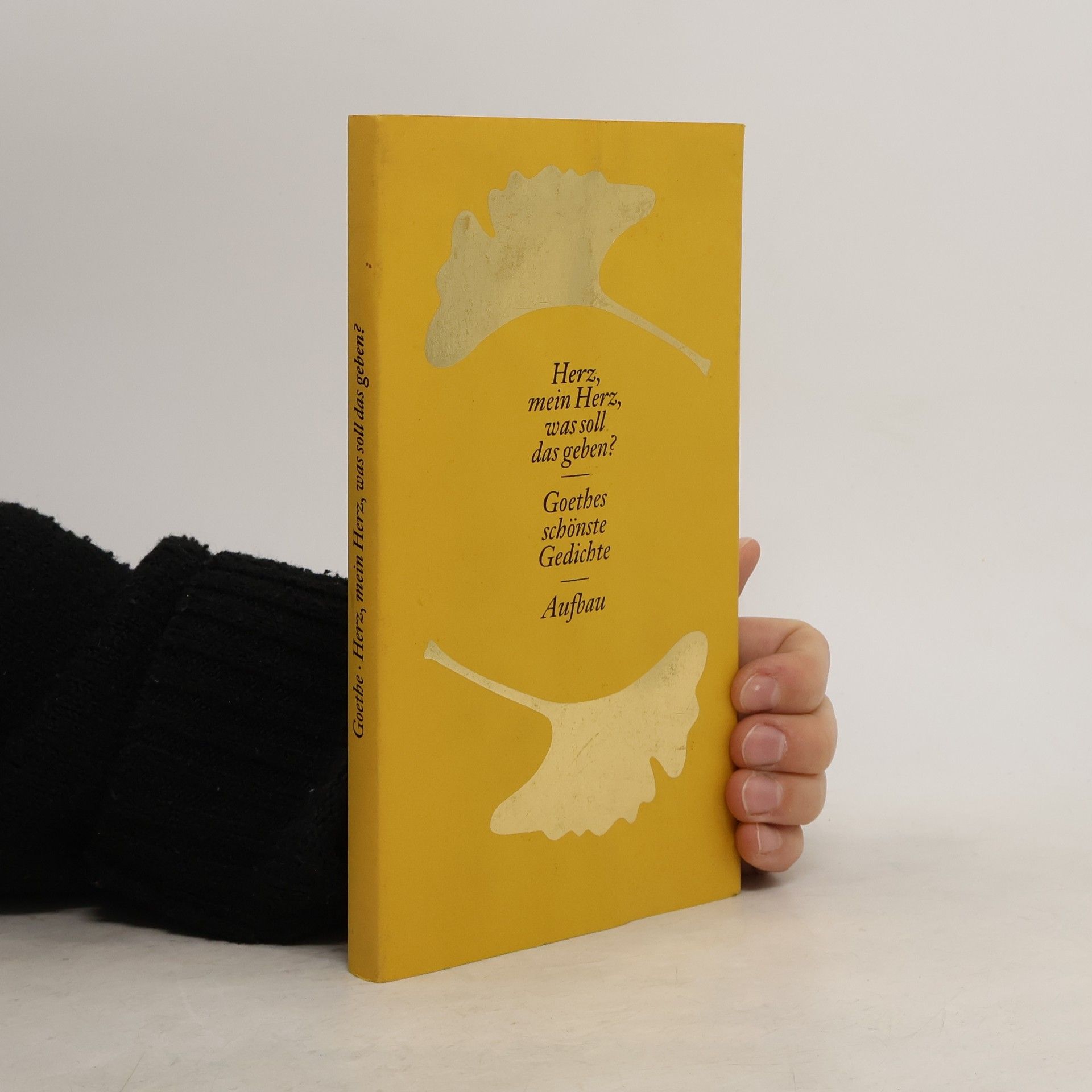 Johann Wolfgang von Goethe Herz, mein Herz, was soll das geben? Goethes schönste Gedichte