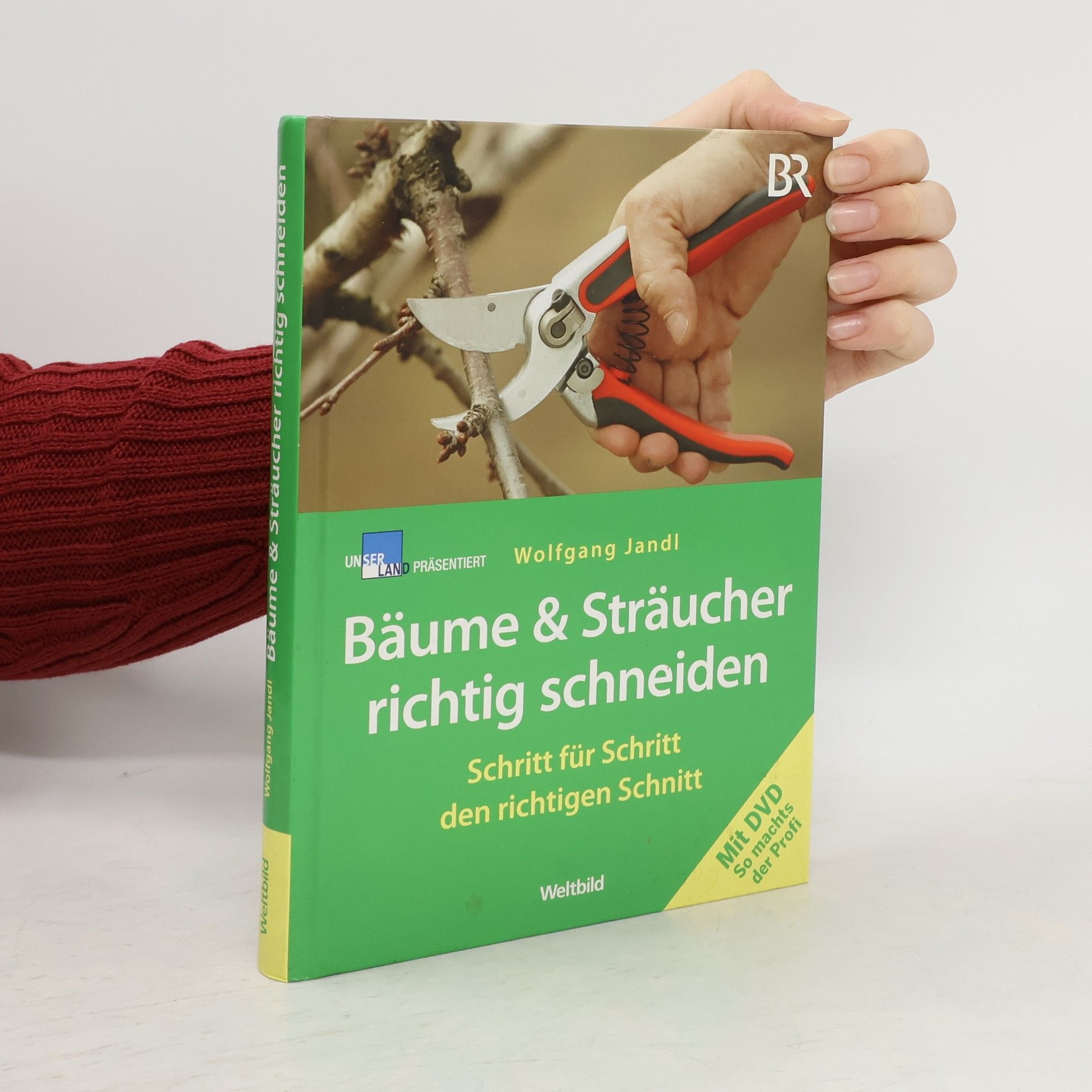 Bäume & Sträucher richtig schneiden