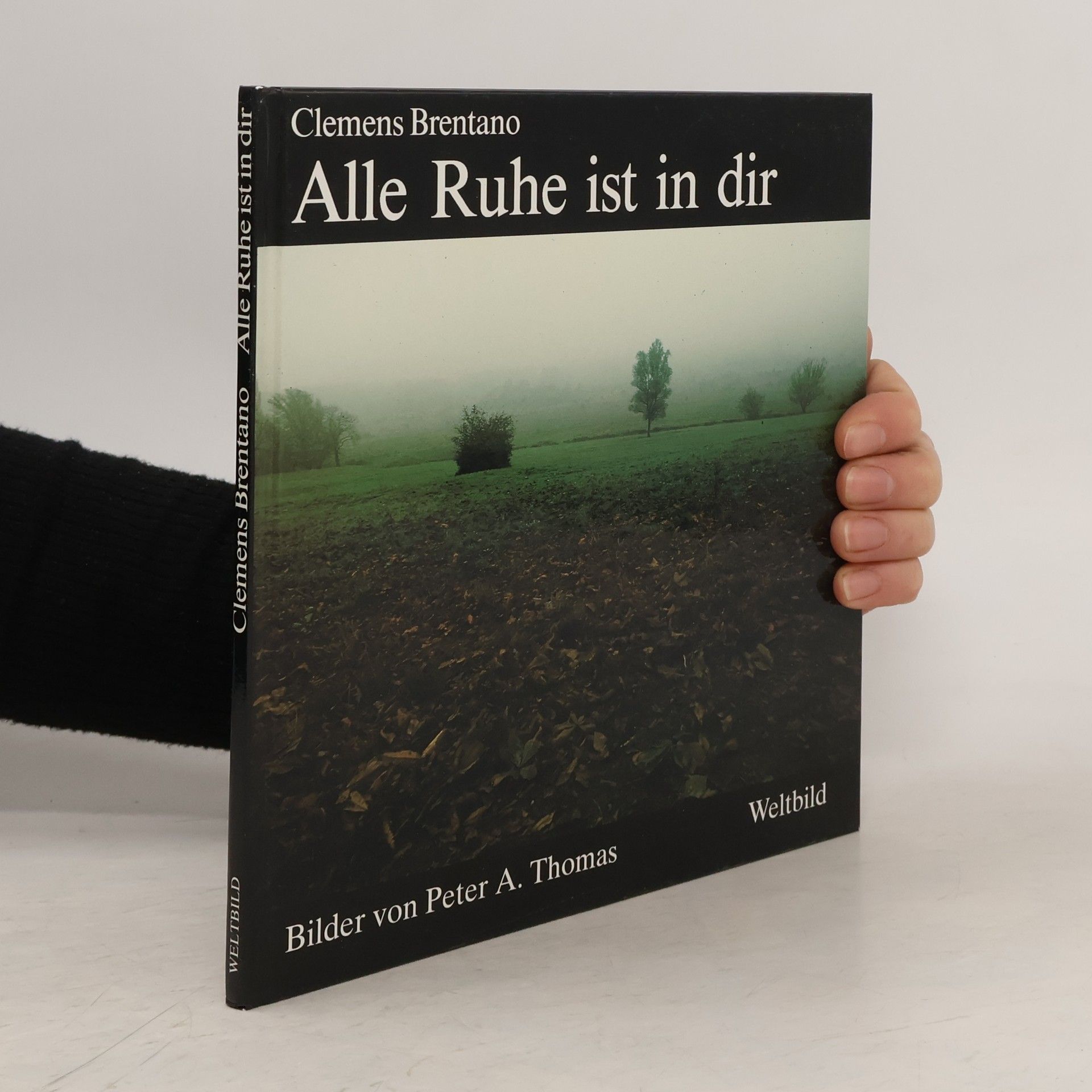 Alle Ruhe ist in dir