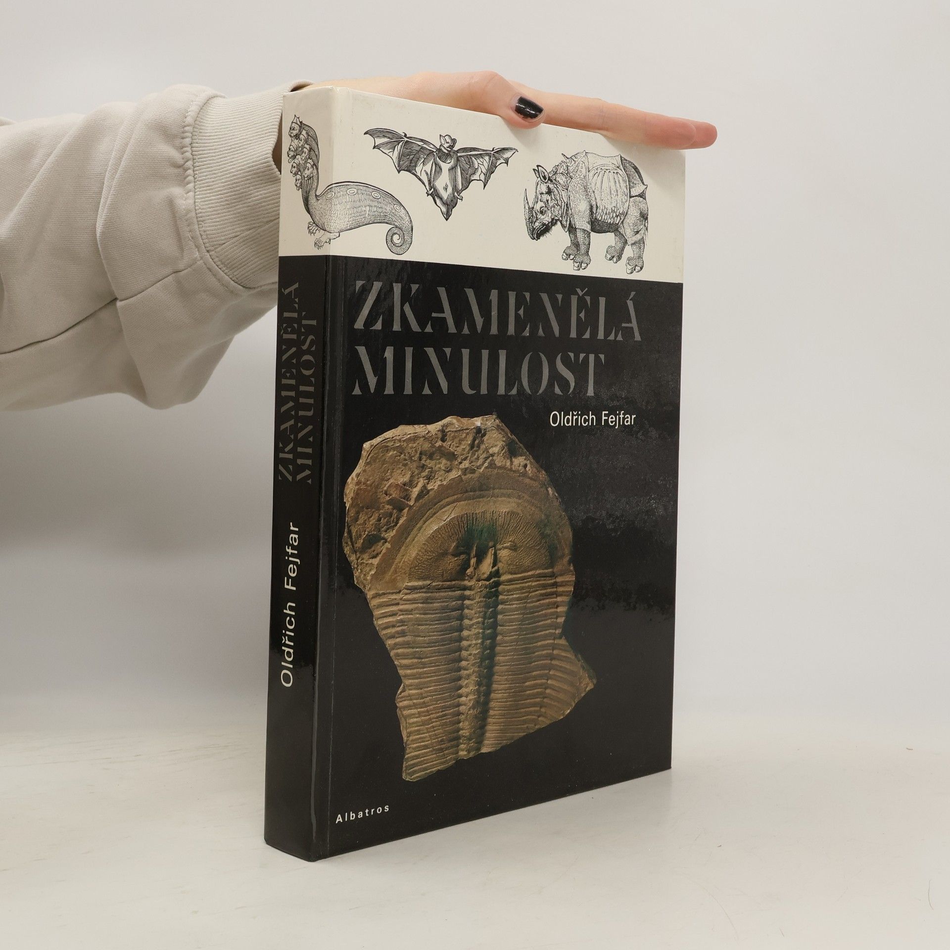 Zkamenělá minulost