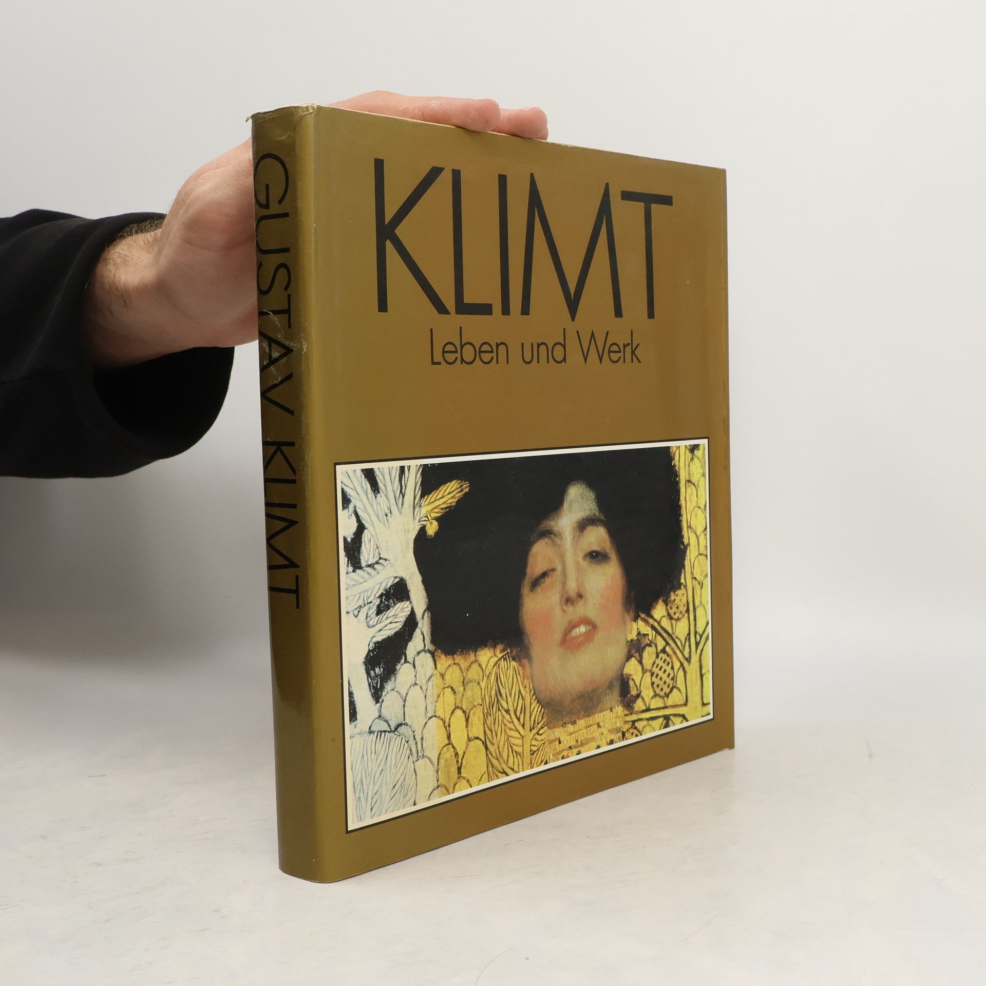 Susanna Partsch Gustav Klimt. Leben und Werk