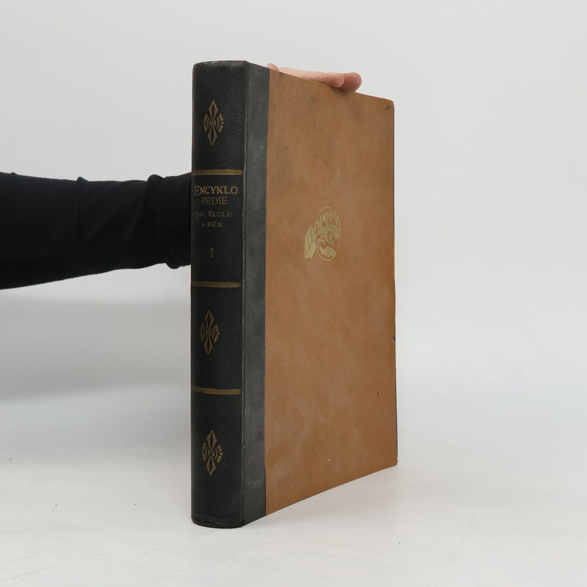 Kolektív autorov Encyklopedie pro školu a dům I