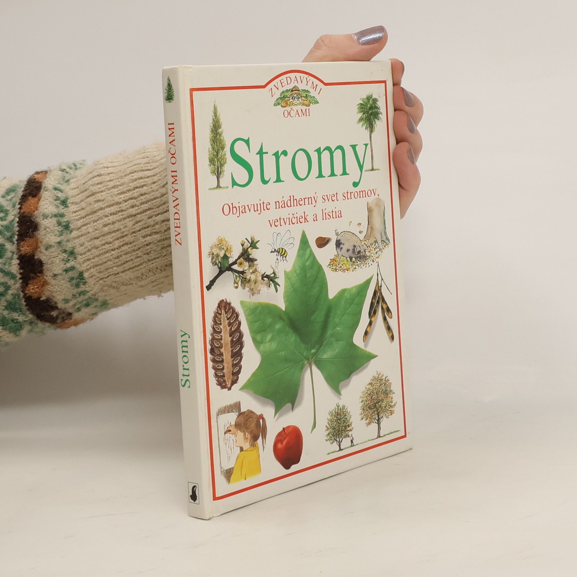 Auteurscollectief Stromy