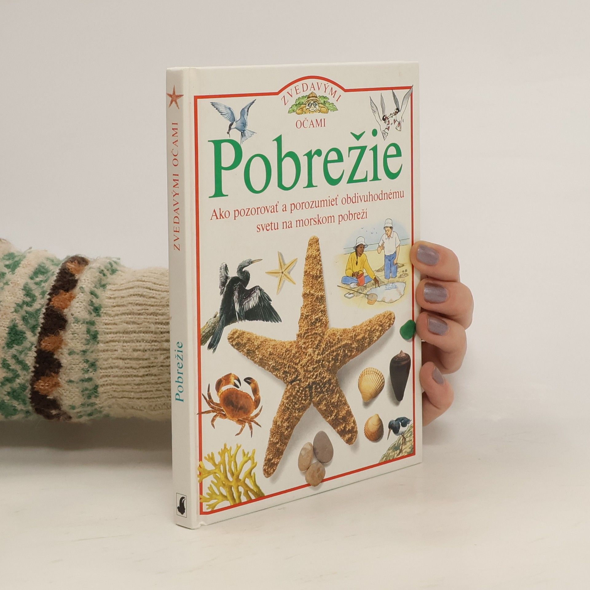 David Burnie Pobrežie