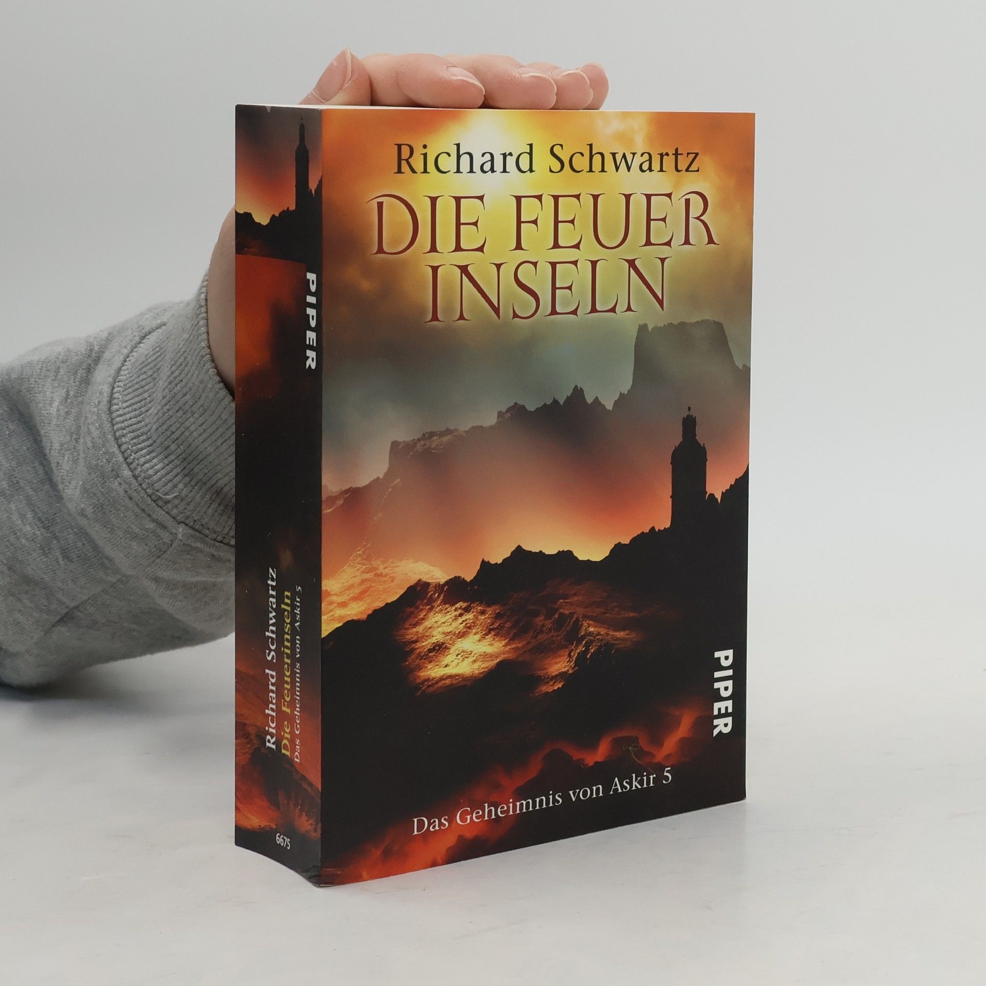 Richard Schwartz Die Feuerinseln