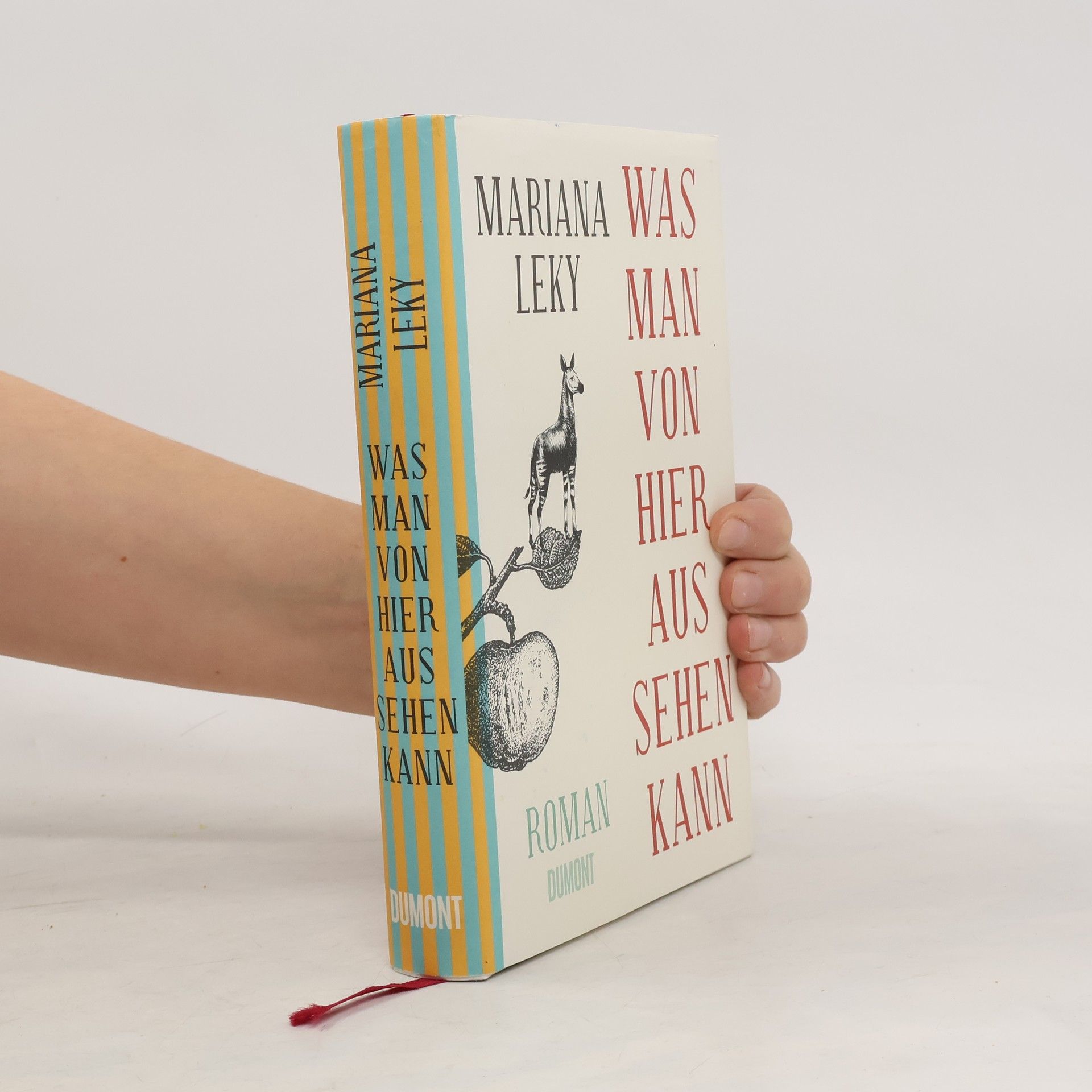 Mariana Leky Was man von hier aus sehen kann