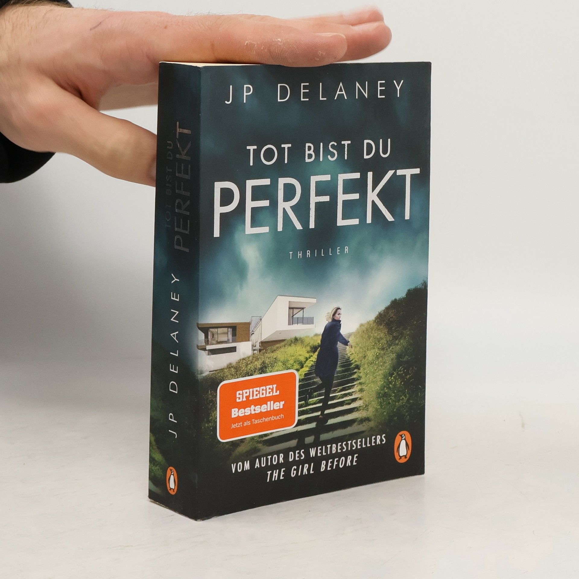 J. P. Delaney Tot bist du perfekt