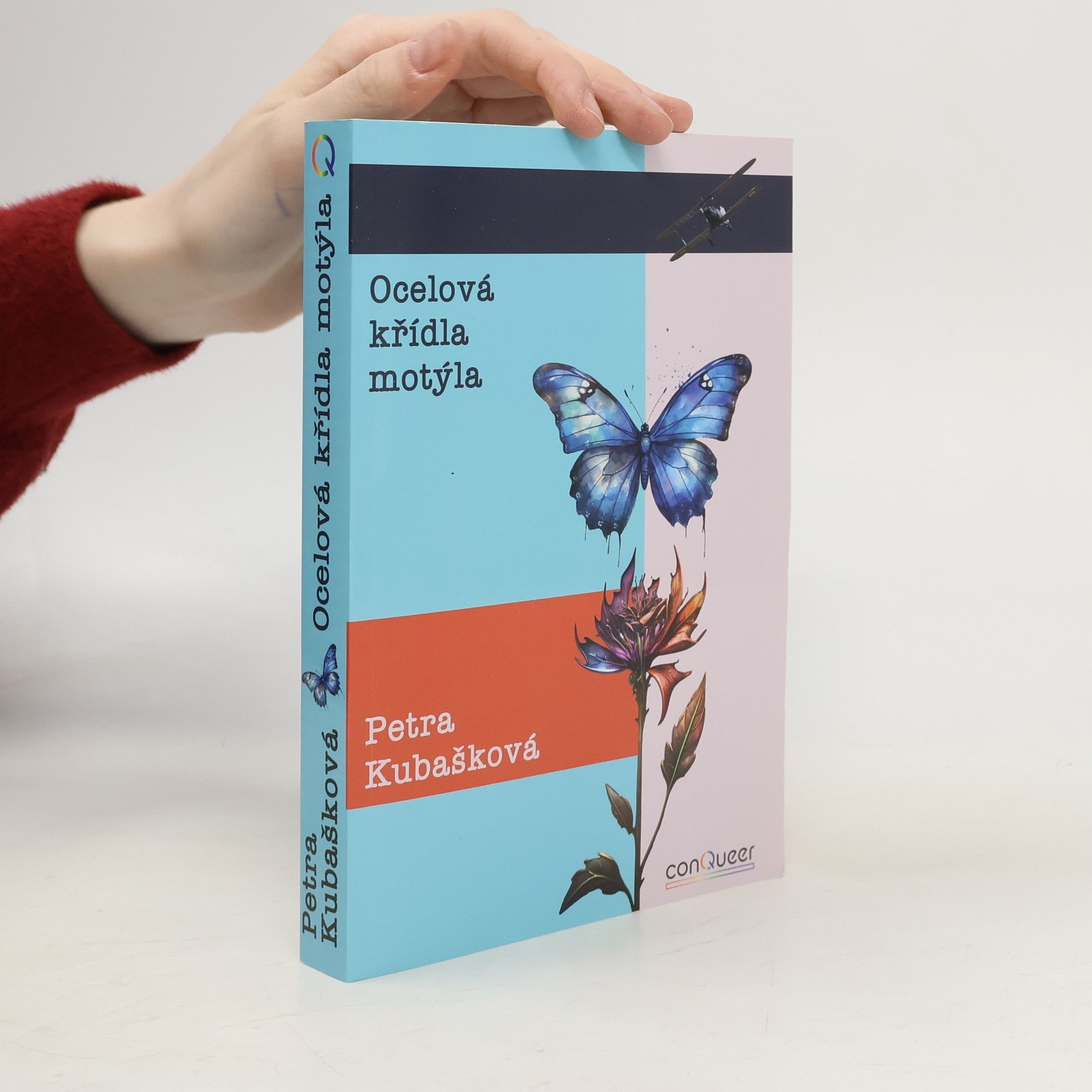 Ocelová křídla motýla