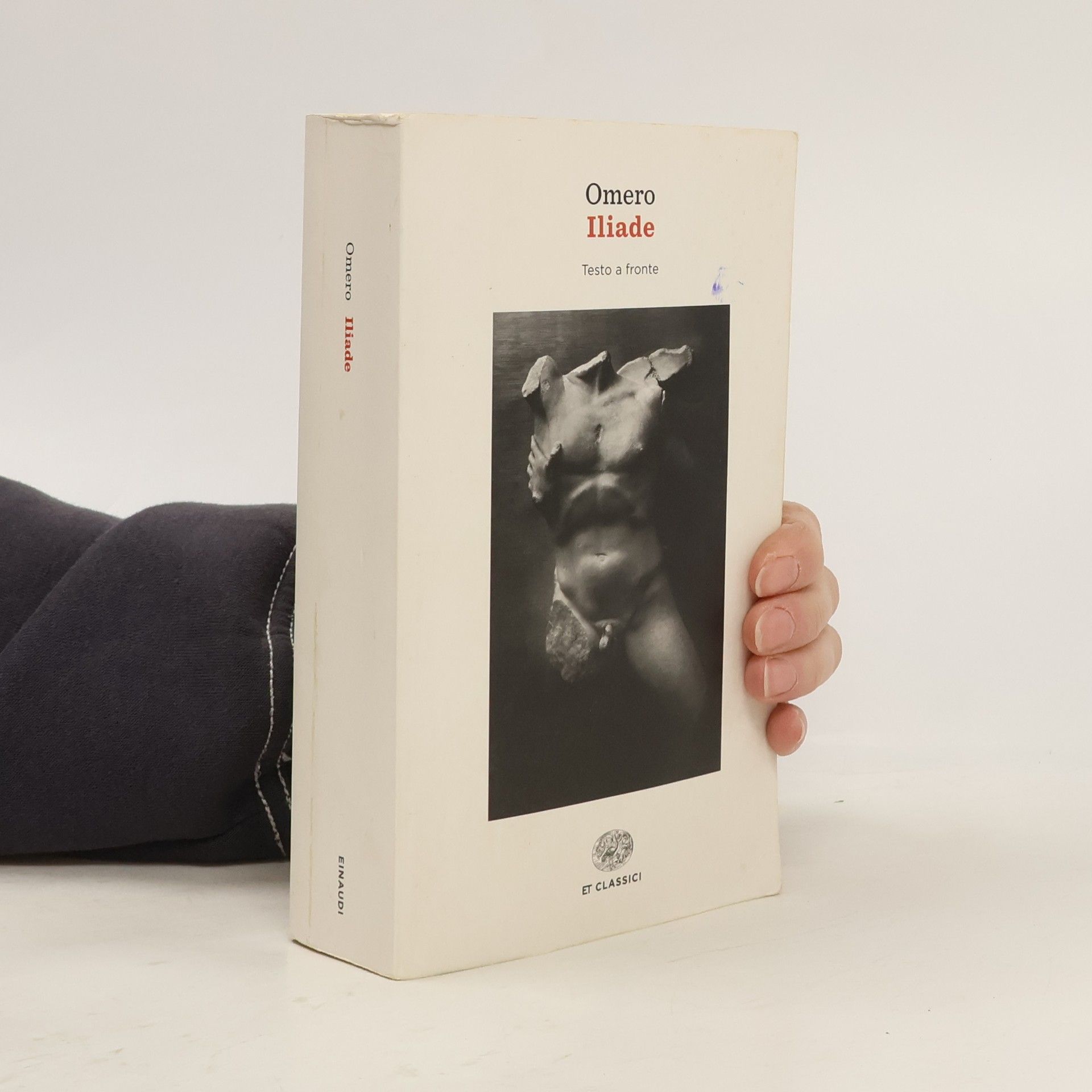 Iliade. Testo greco a fronte