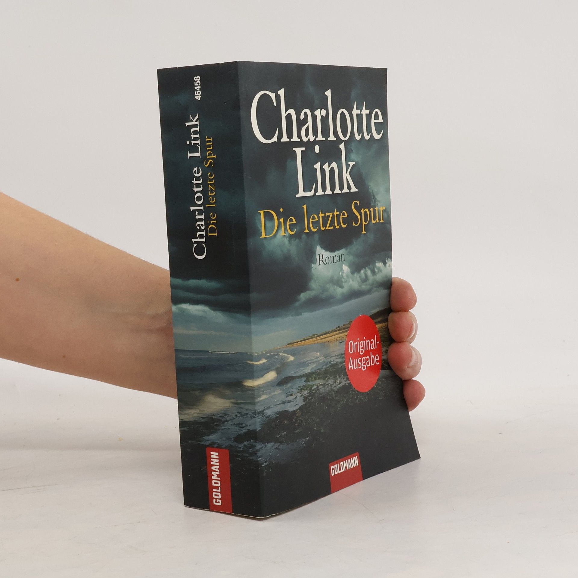 Charlotte Link Die letzte Spur