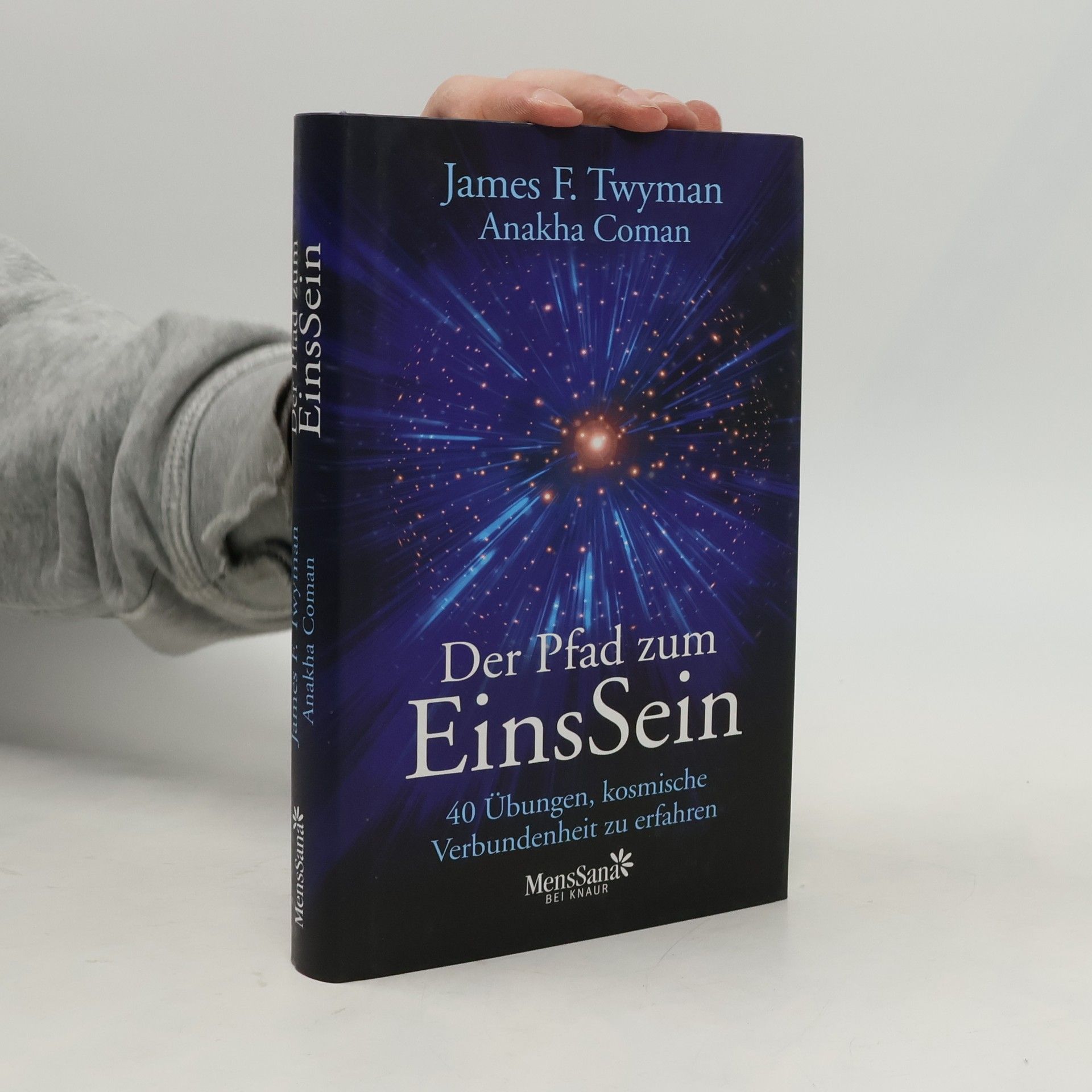 James F. Twyman Der Pfad zum EinsSein