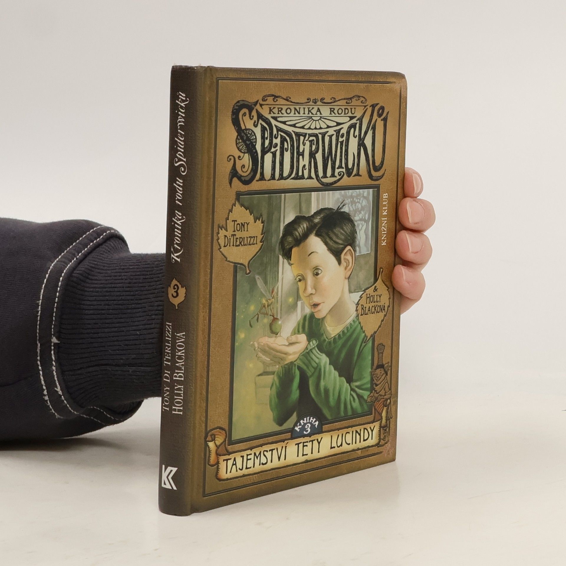 Kronika rodu Spiderwicků. Kniha 3, Tajemství tety Lucindy