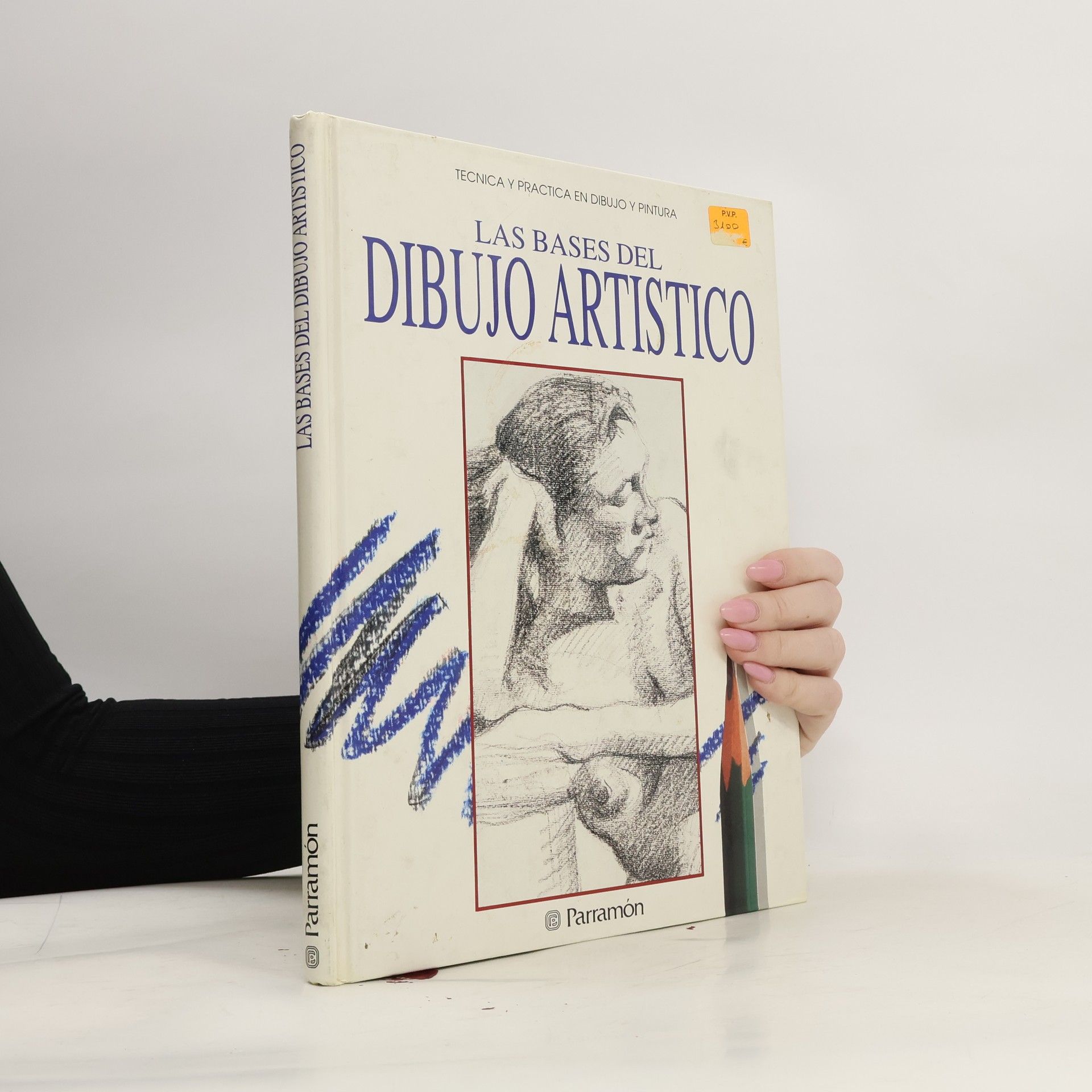 Autores varios Las Bases del Dibujo Artistico