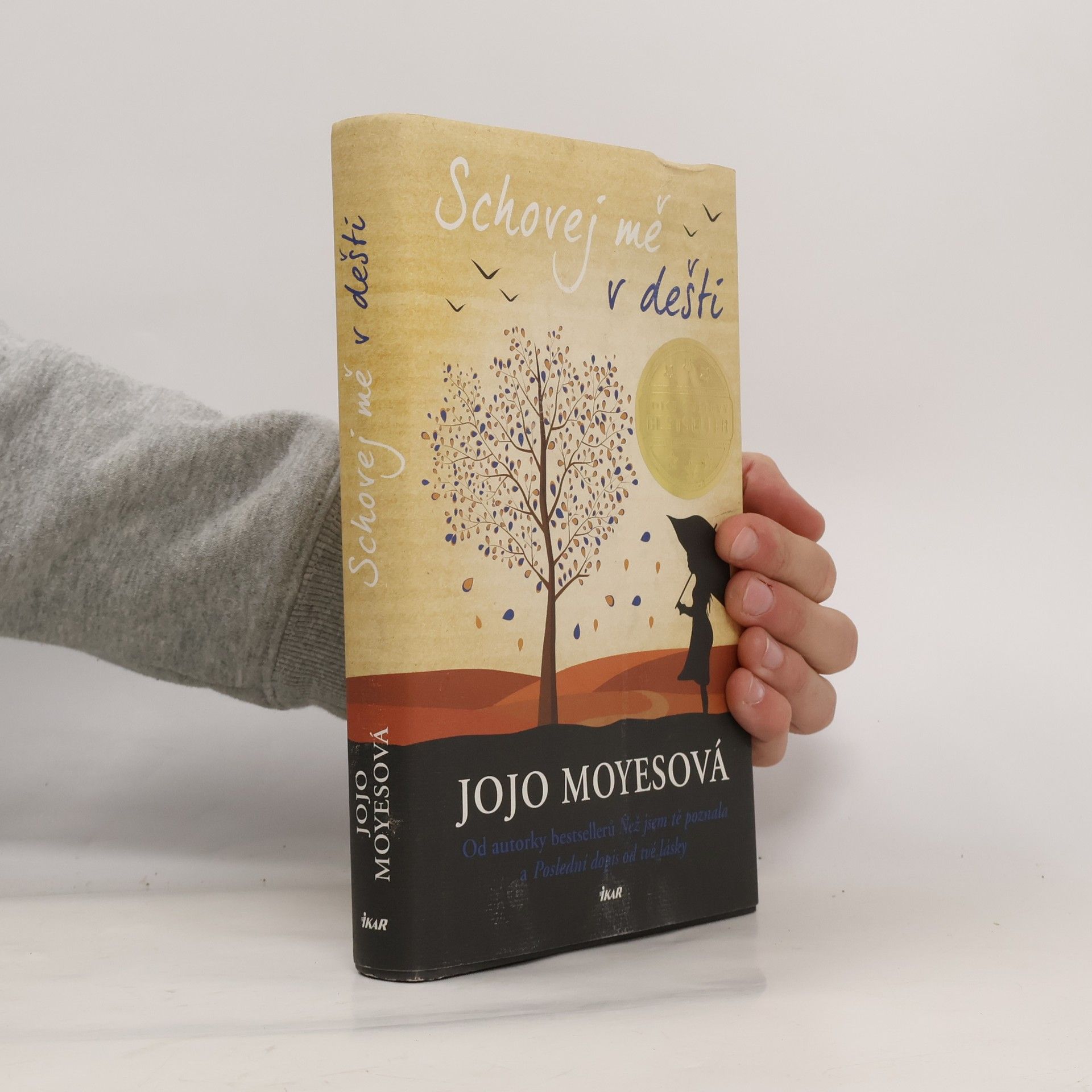 Jojo Moyes Schovej mě v dešti