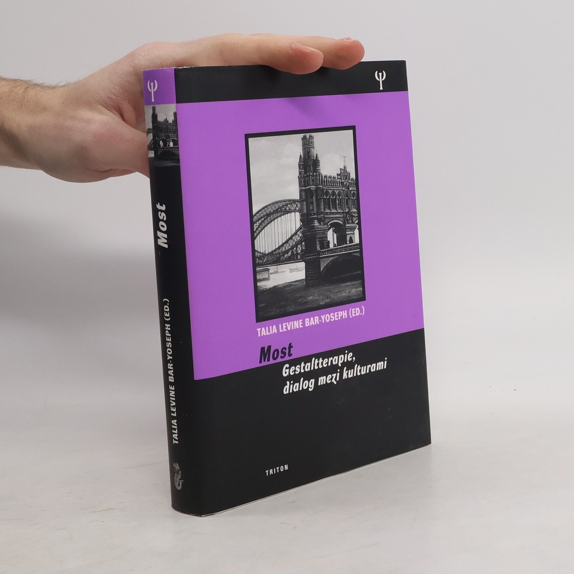 Talia Levine Bar Yoseph Most - Gestaltterapie, dialog mezi kulturami