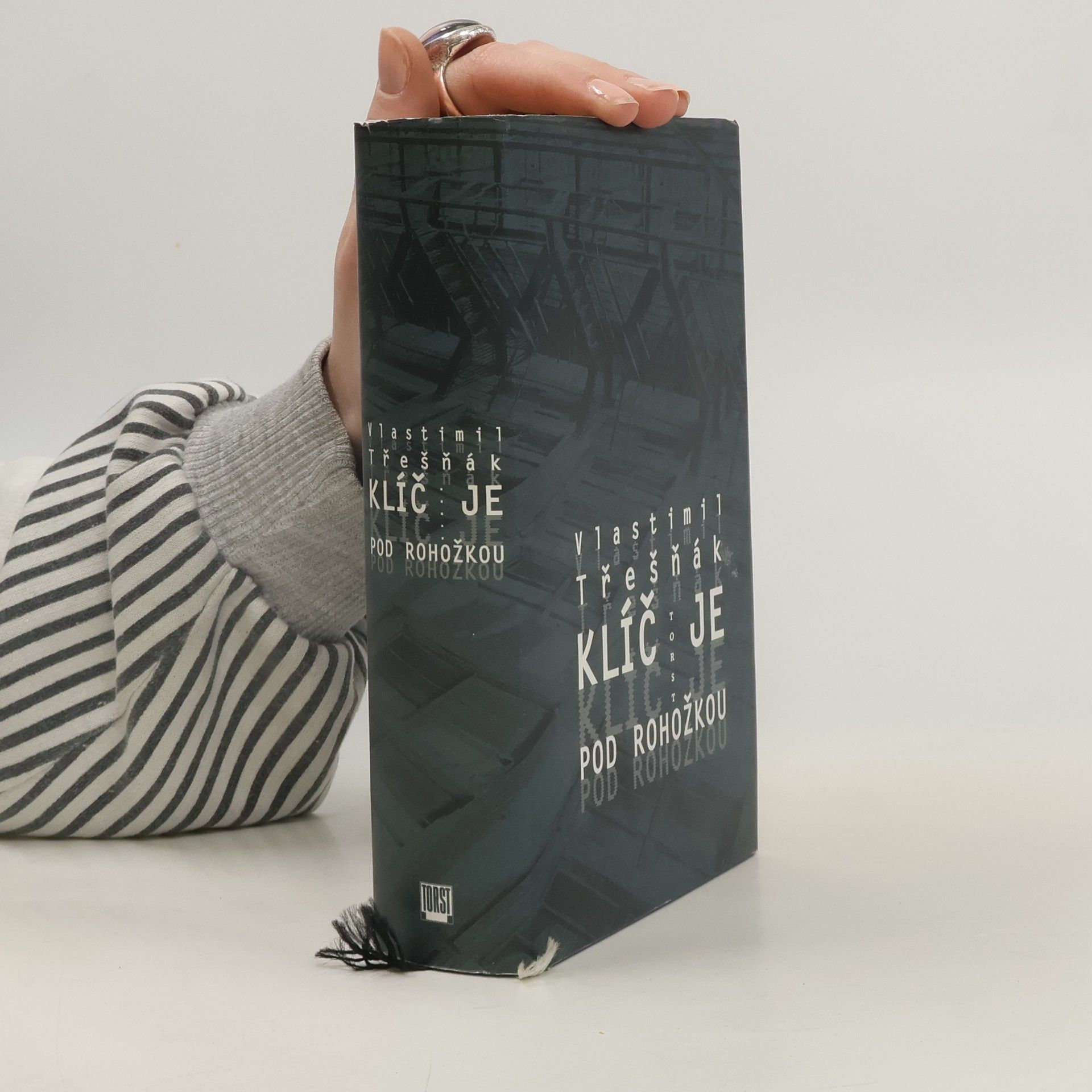Vlastimil Třešňák Klíč je pod rohožkou