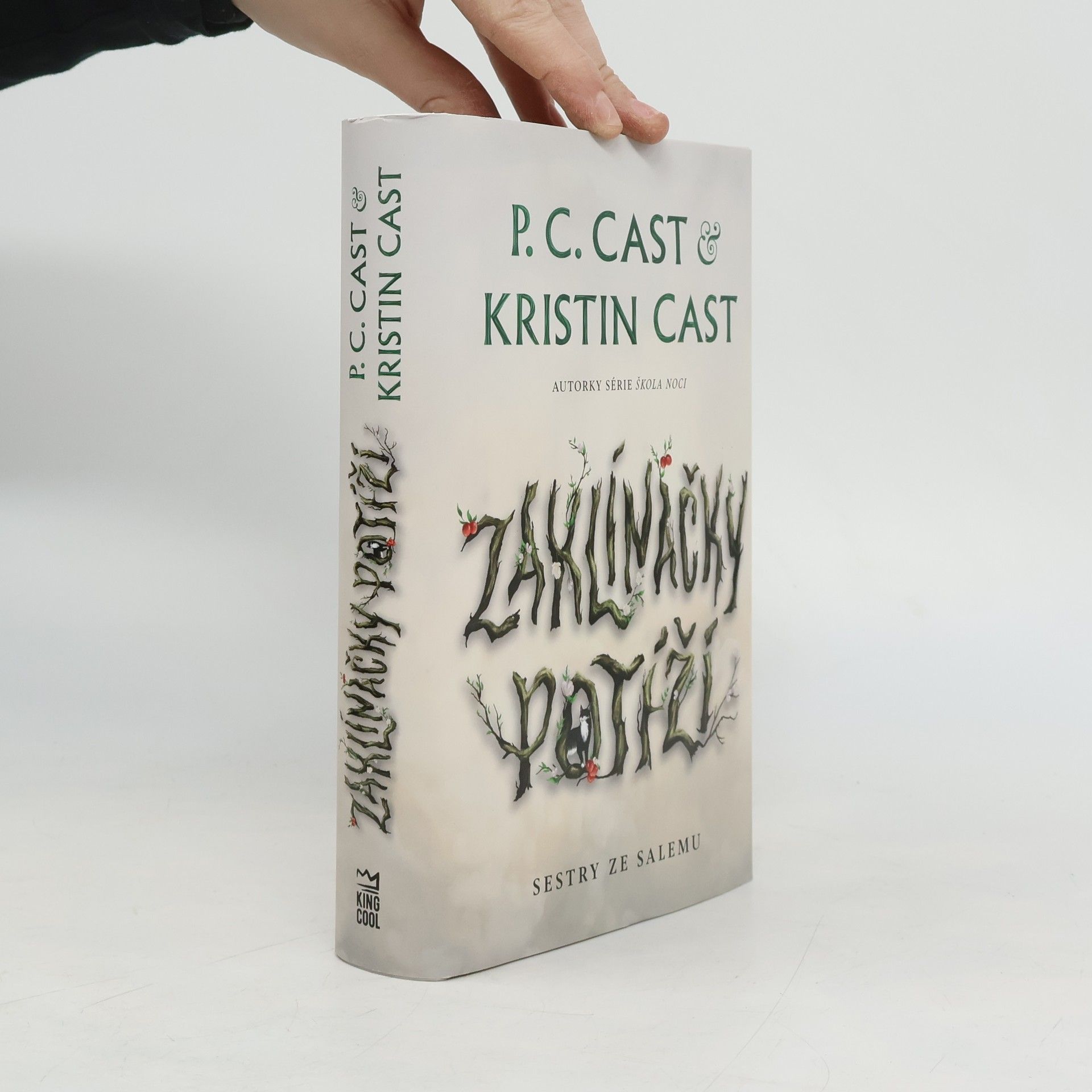 P. C. Cast Sestry ze Salemu. Zaklínačky potíží