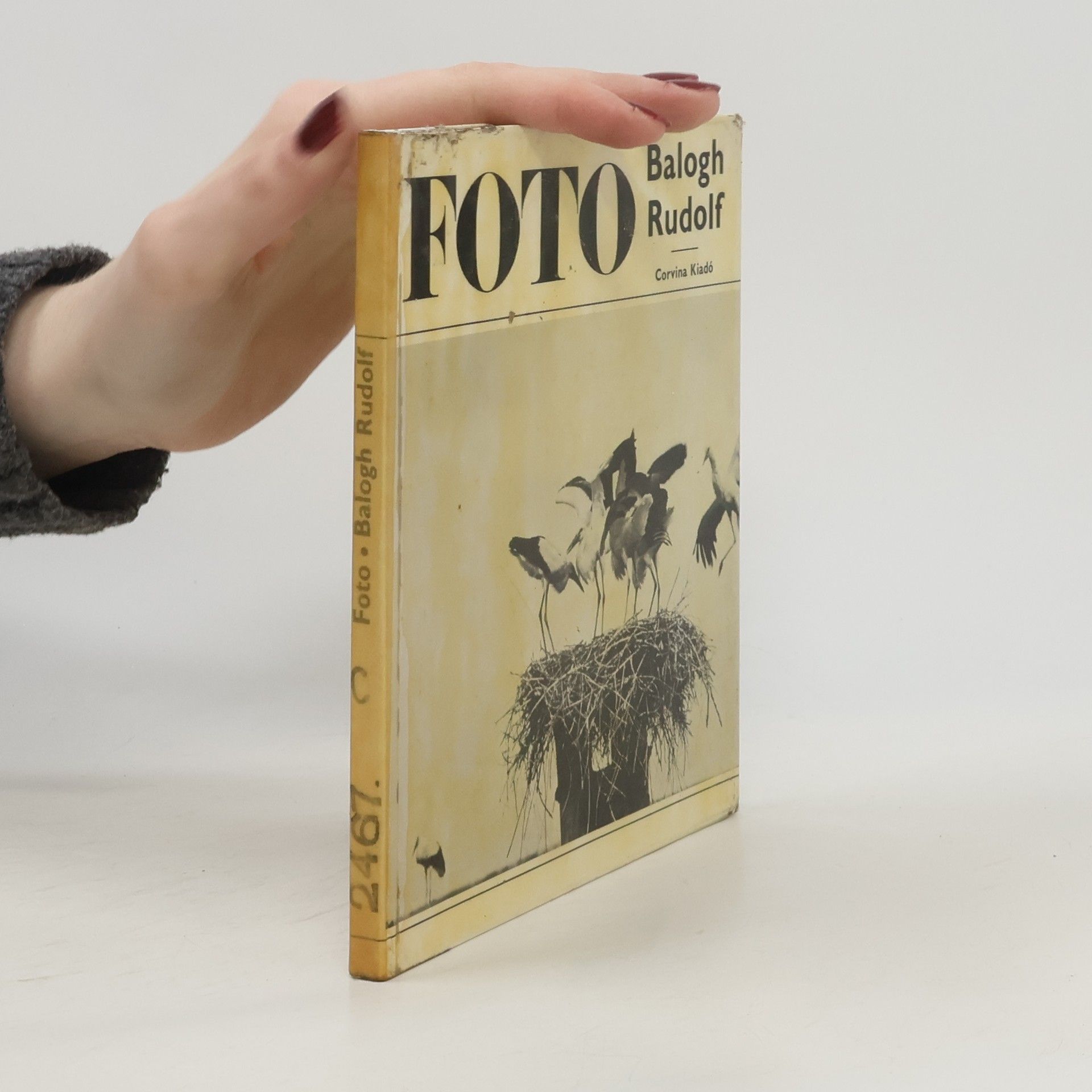 Rudolf Balogh Balogh Rudolf munkássága