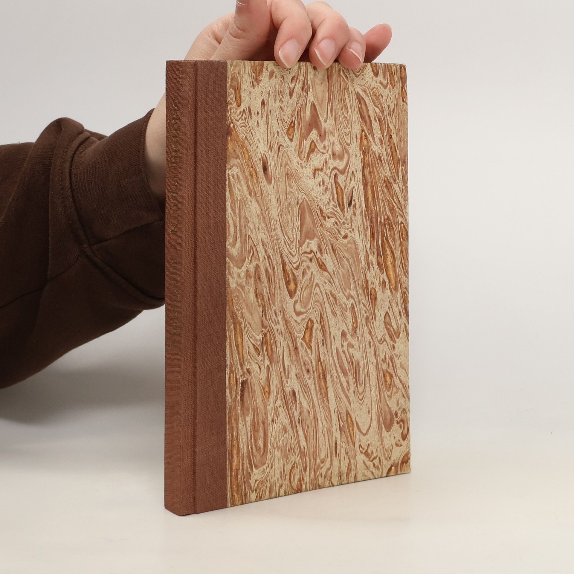 Josef Jungmann Krátká historie národu, osvícení a jazyka